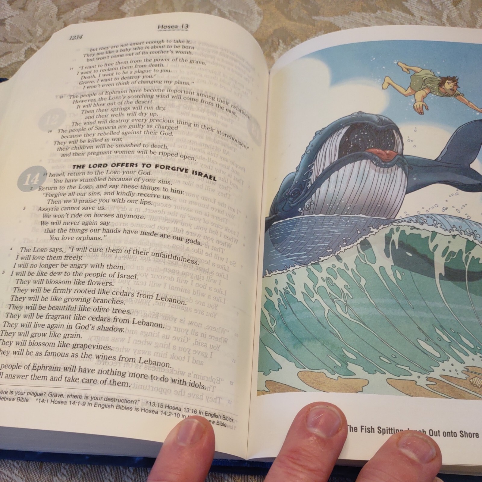 GODS WORD for Boys Blue Prism Duravella VERY GOOD 2008 “3D Cover”