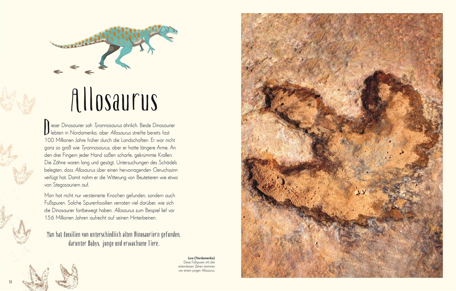 Anusuya Chinsamy-Turan / Wundervolle Welt der Dinosaurier und …9783831045037