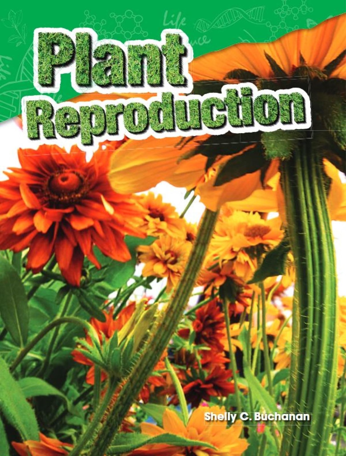 Plant Reproduction
