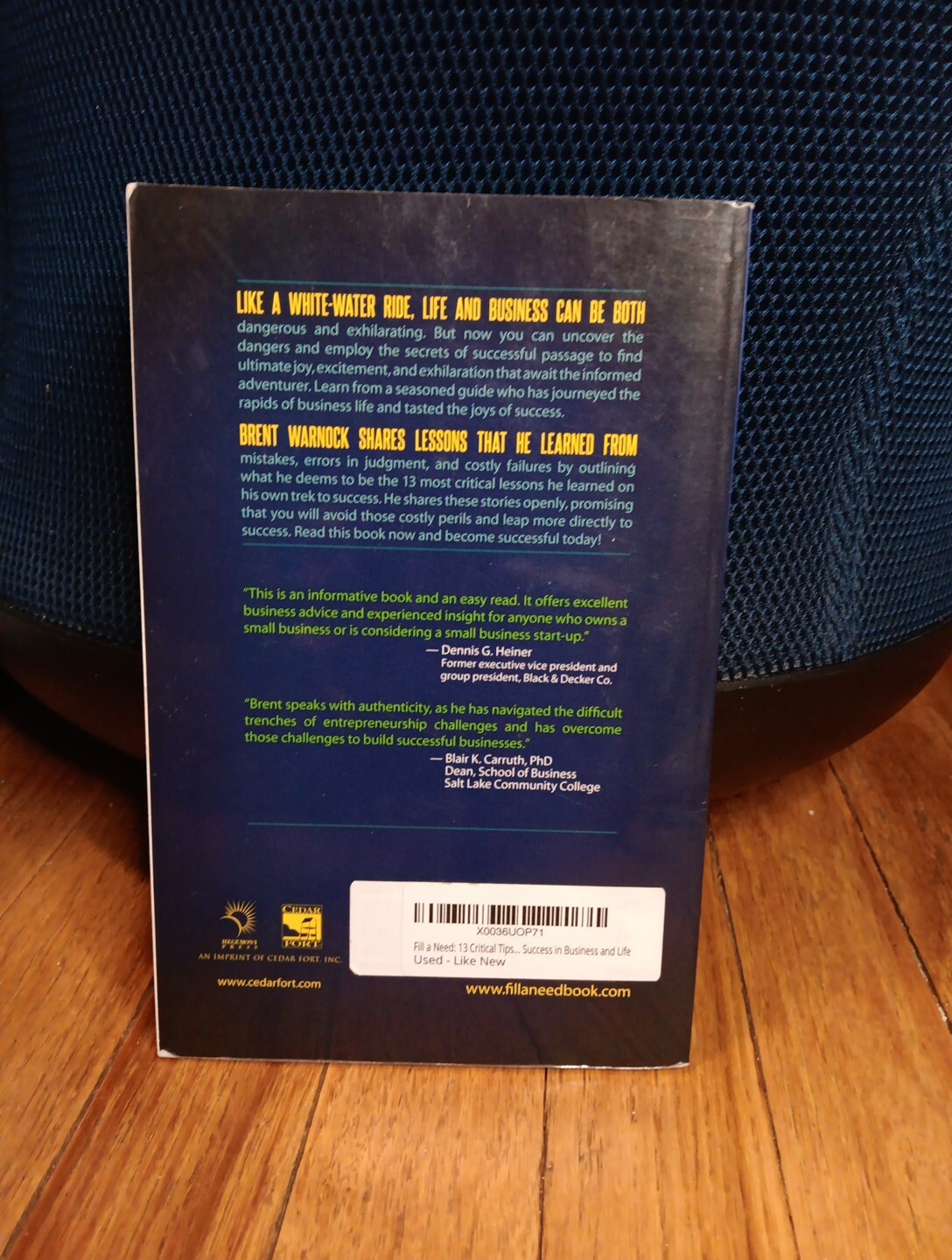 Success in Business and Life, Fill a Need 13 Critical Tips for – Tr Pb Book