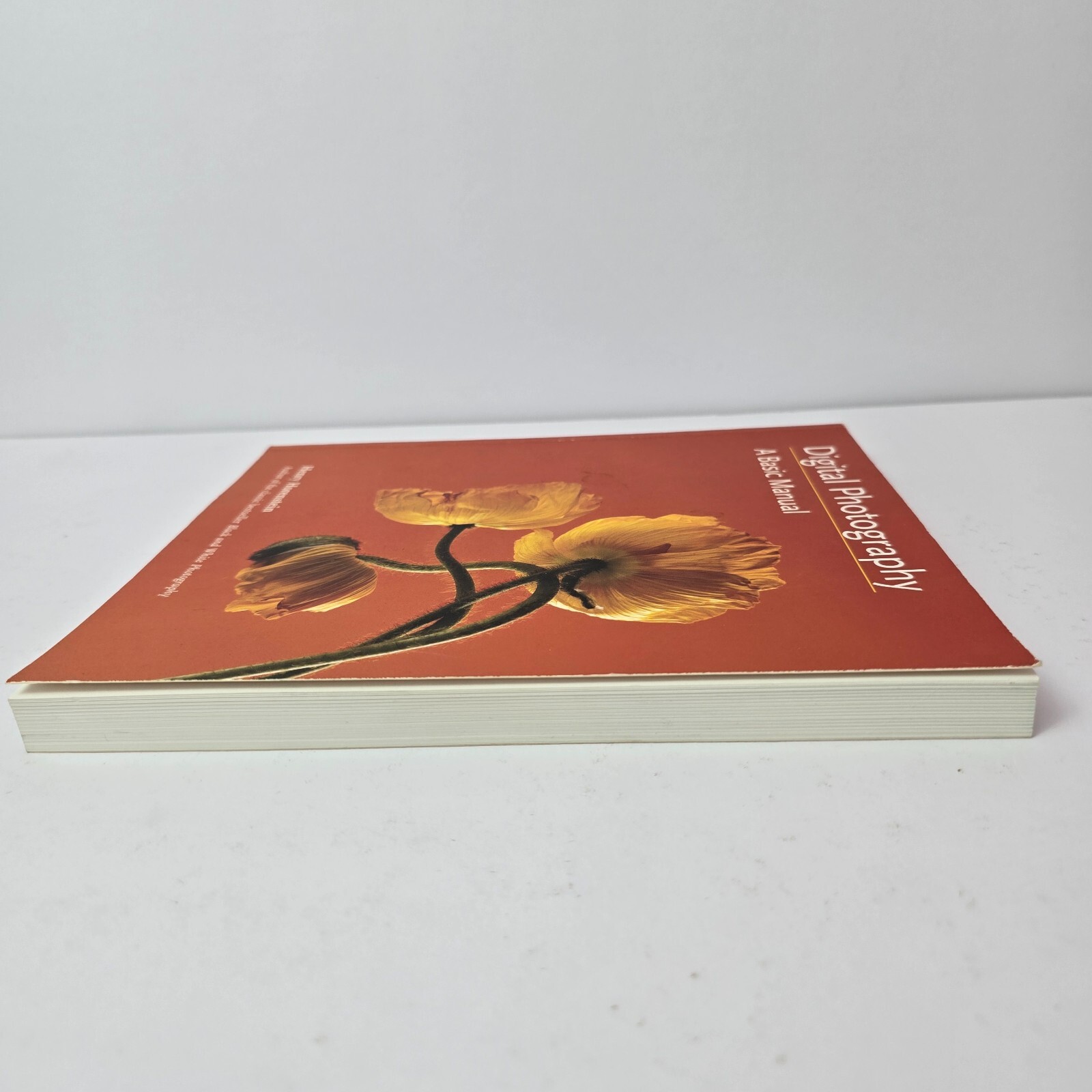Digital Photography: A Basic Manual by Henry Horenstein