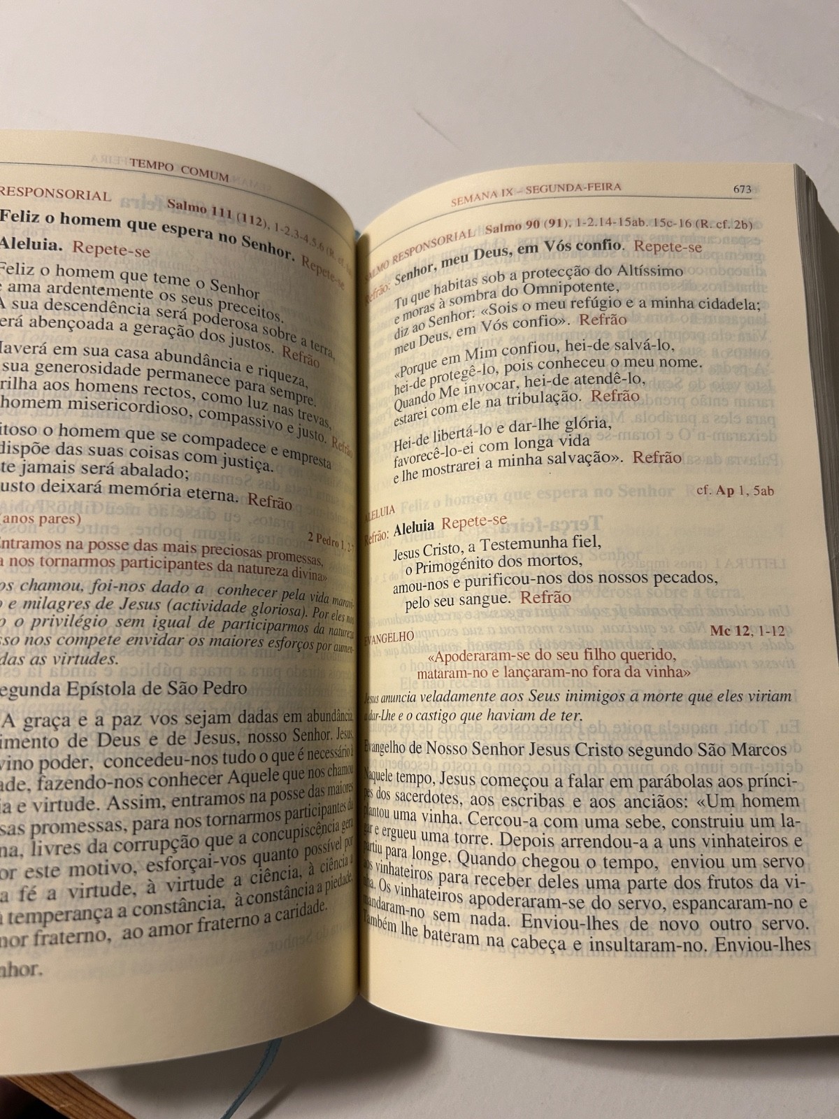 Missal Popular Ferial 3rd Edition 1997 – Vol. II – Hardcover Leatherbound