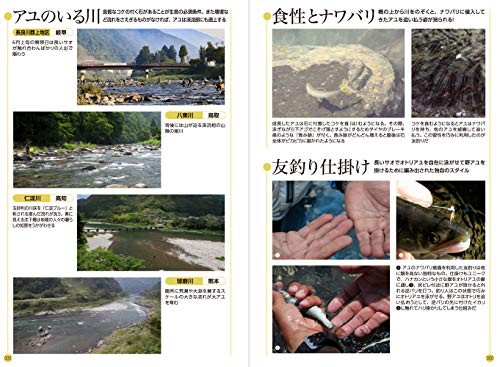 Fish & Fishing Guide 672 Pages: Species ID,Tackle & How to Clean (Japanese Book)