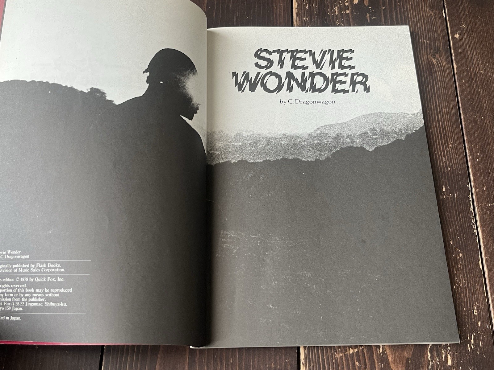 RARE 1979 1ST EDITION THE STORY OF STEVIE WONDER JAPANESE PHOTO BOOK