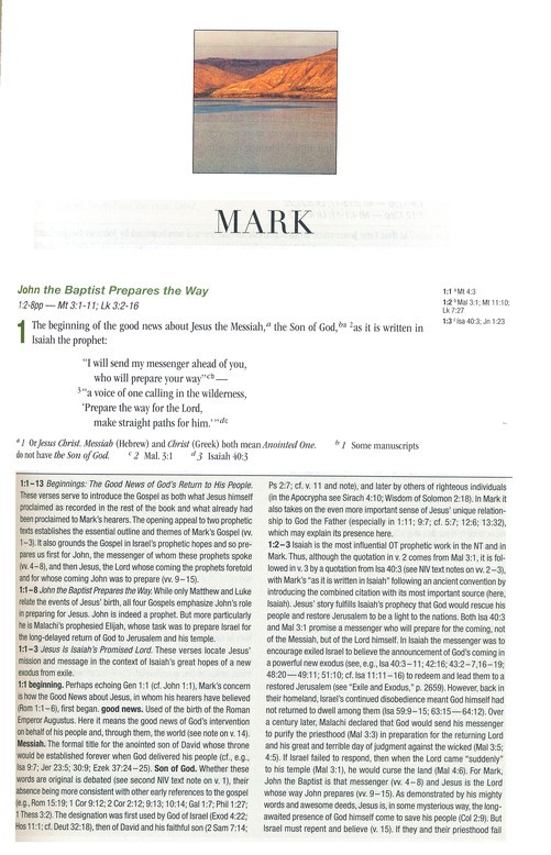 NIV 2011 Study Bible -Chocolate/Caramel – r$79.99- SALE!! SLIGHTLY IMPERFECT