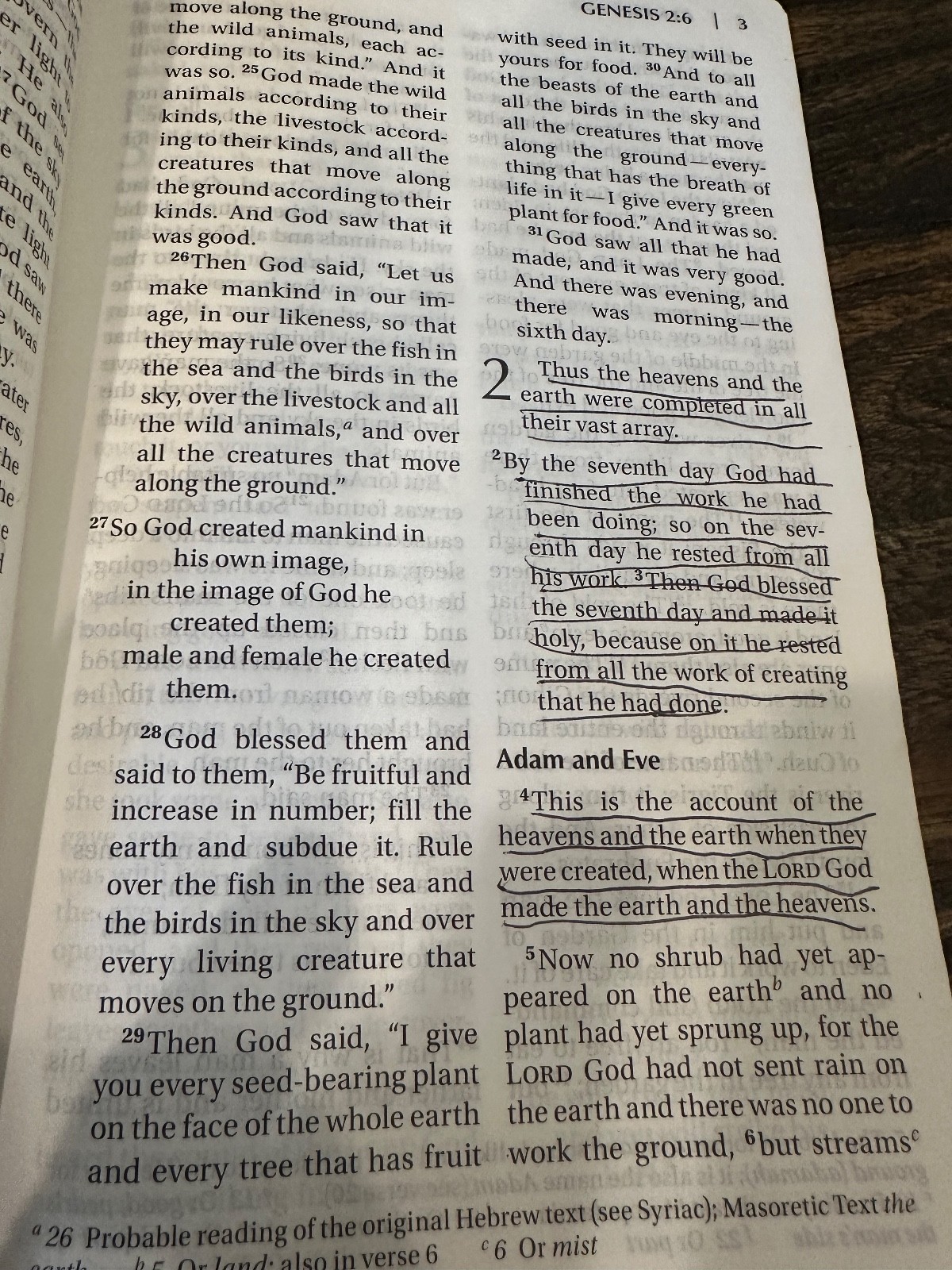 NIV Bible Large Print Italian DuoTone Zondervan in Box