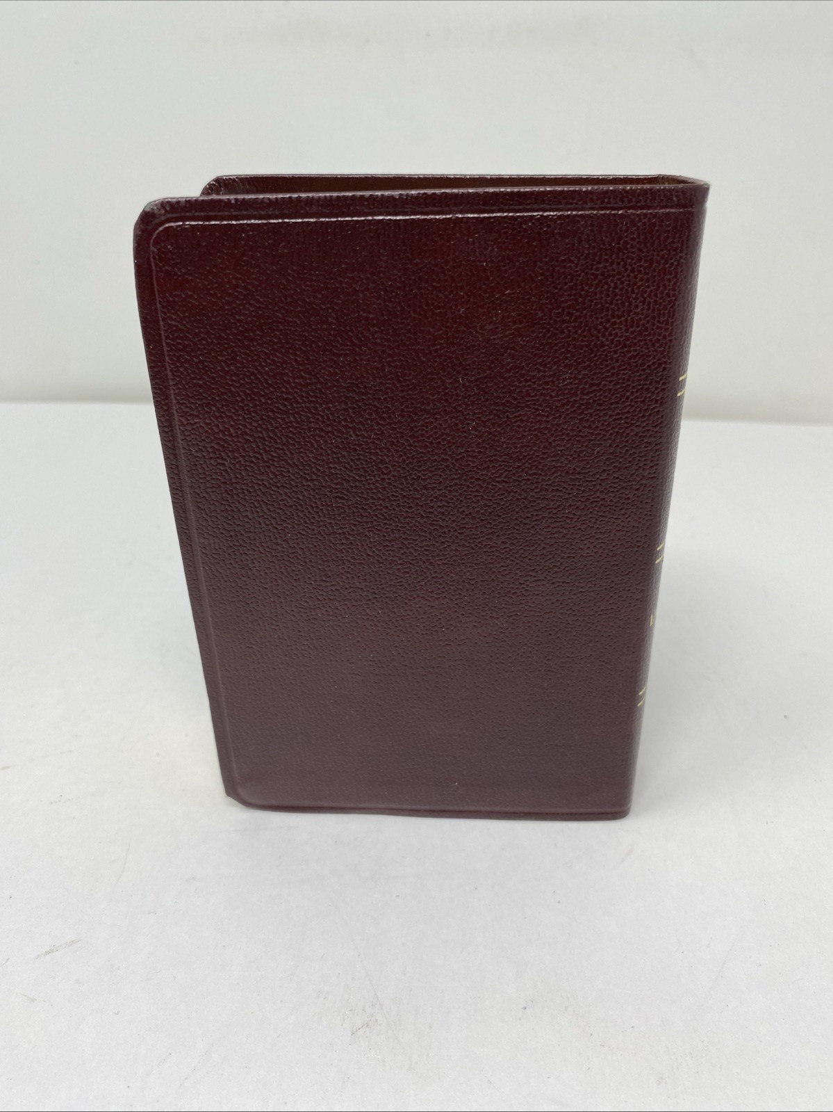 HCSB Large Print Compact Bible • Burgundy Bonded Leather (2005, Holman)