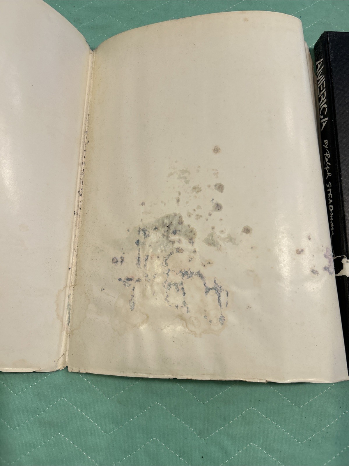 America by Ralph Steadman 1974 First Edition Hardcover w/ Hunter S. Thompson Int