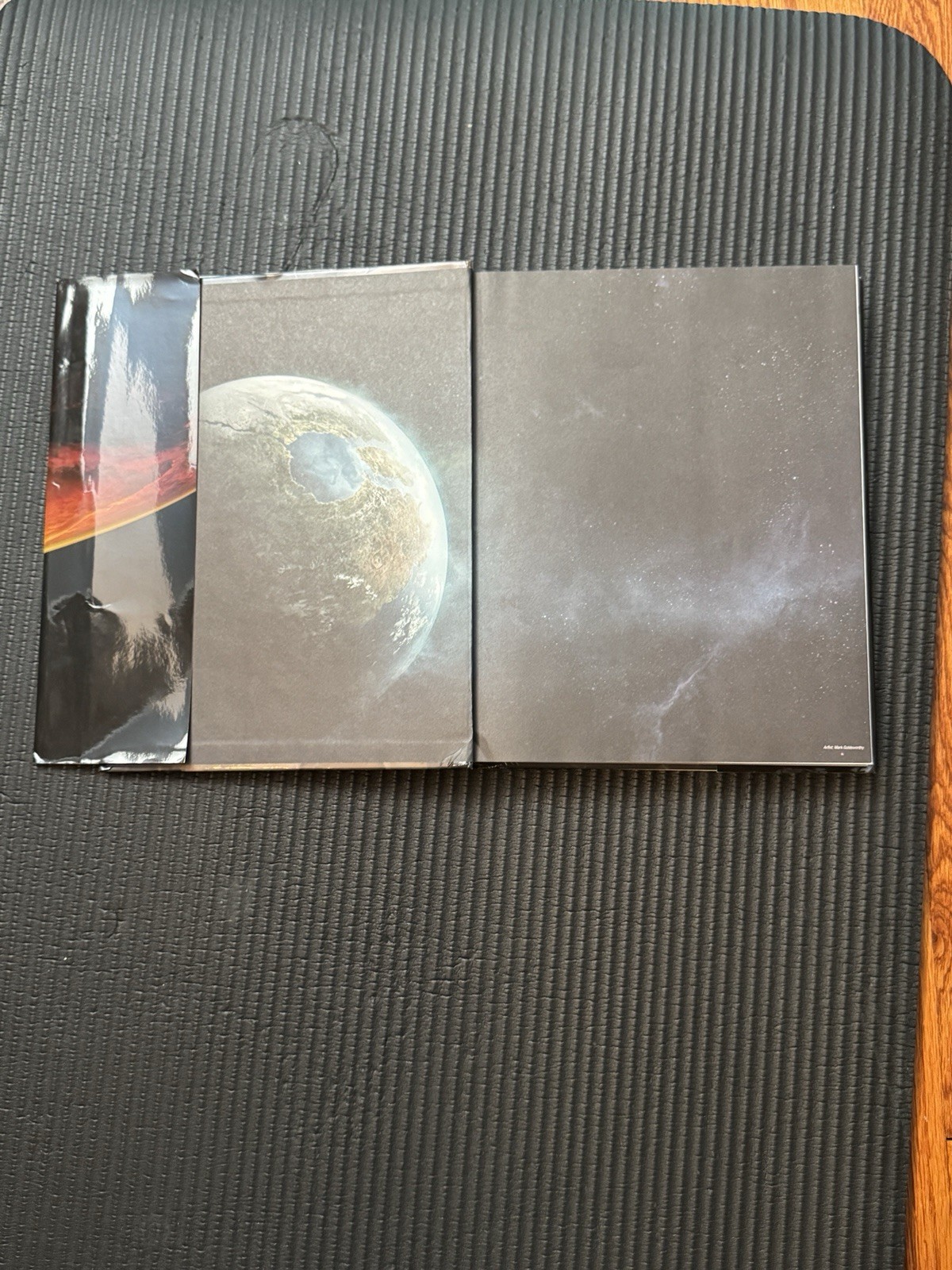 HALO: REACH, Legendary Edition Guide, Doug Walsh, 2010, BradyGames