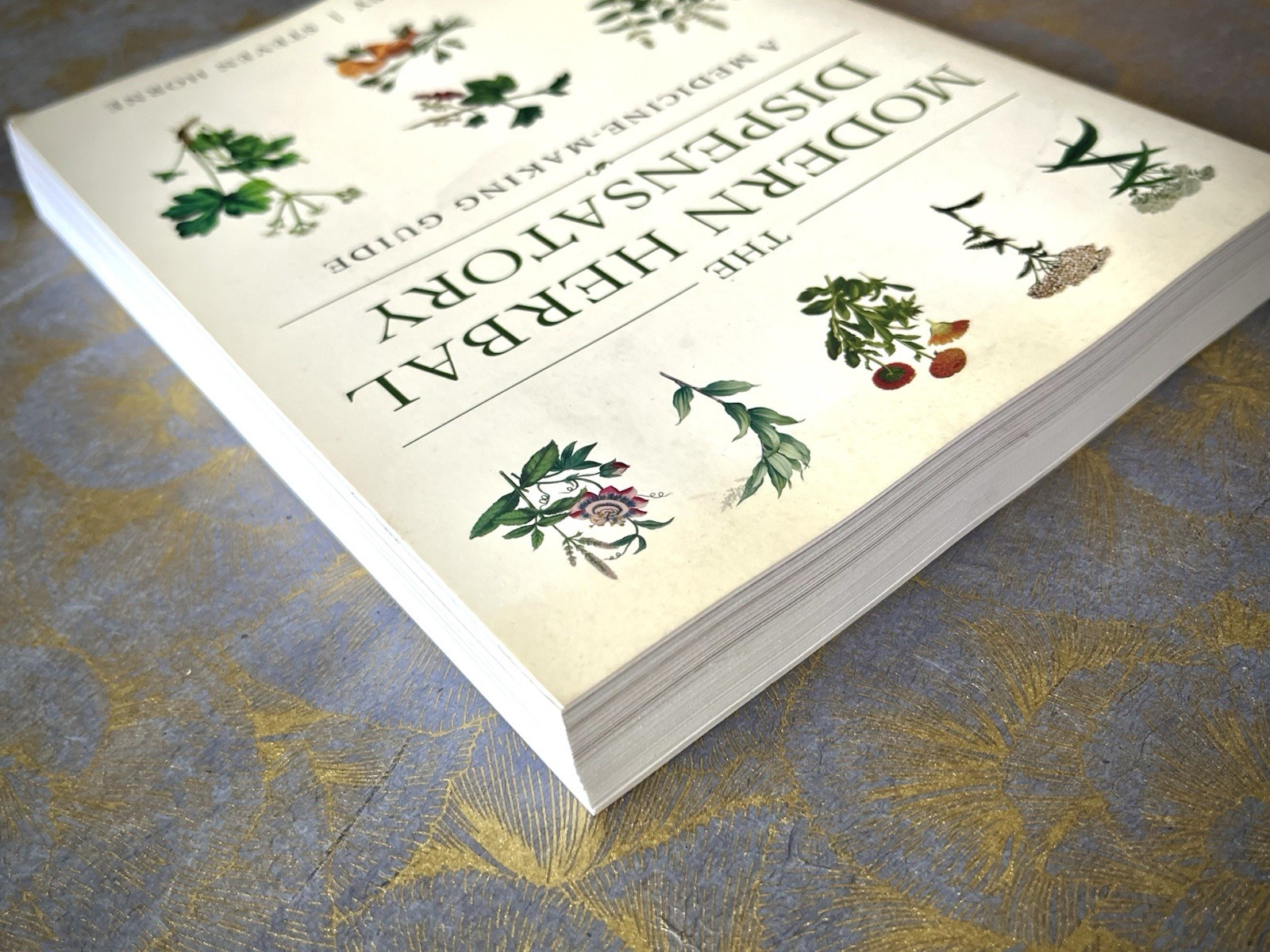 THE MODERN HERBAL DISPENSATORY A MEDICINE MAKING GUIDE EASLEY/HORNE BOTANICAL PB
