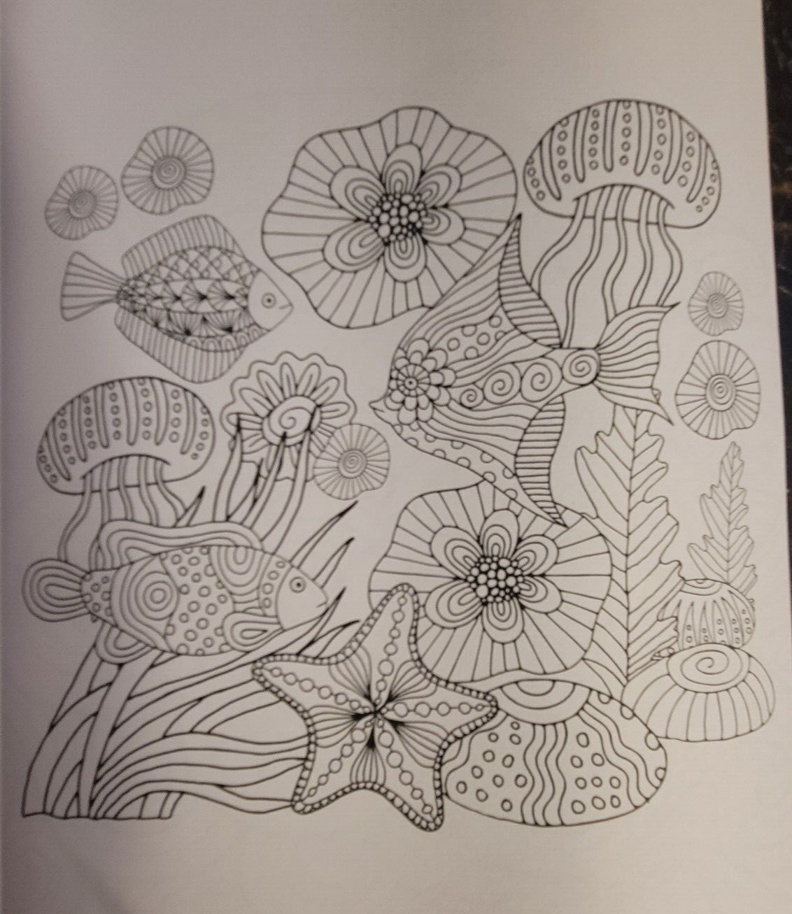 SEASUDE ESCAPES Adult Coloring Book With 62 Prints Ready To Color Relaxing Calm