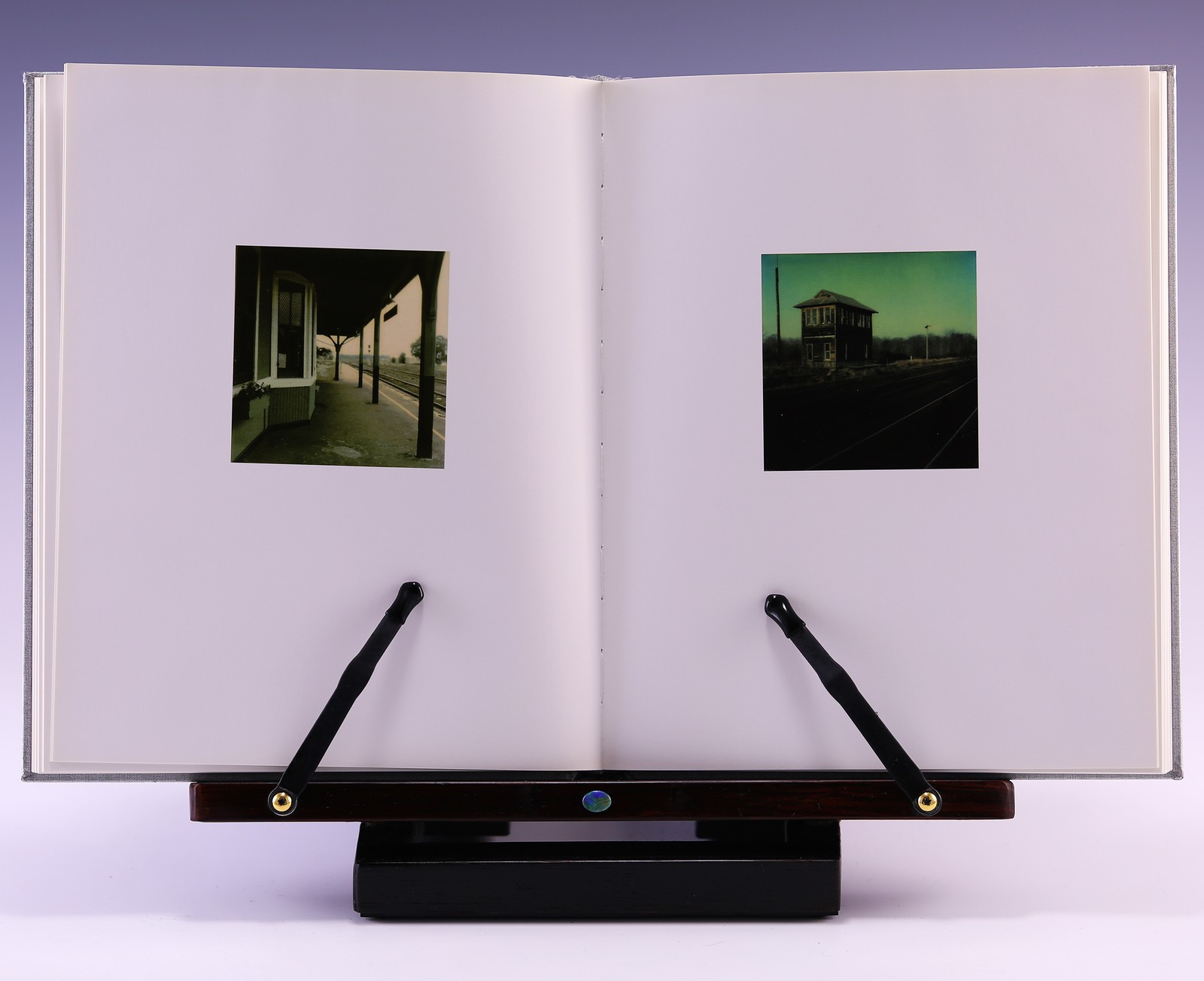 Walker Evans: Polaroids by Walker Evans & Jeff L. Rosenheim; VG