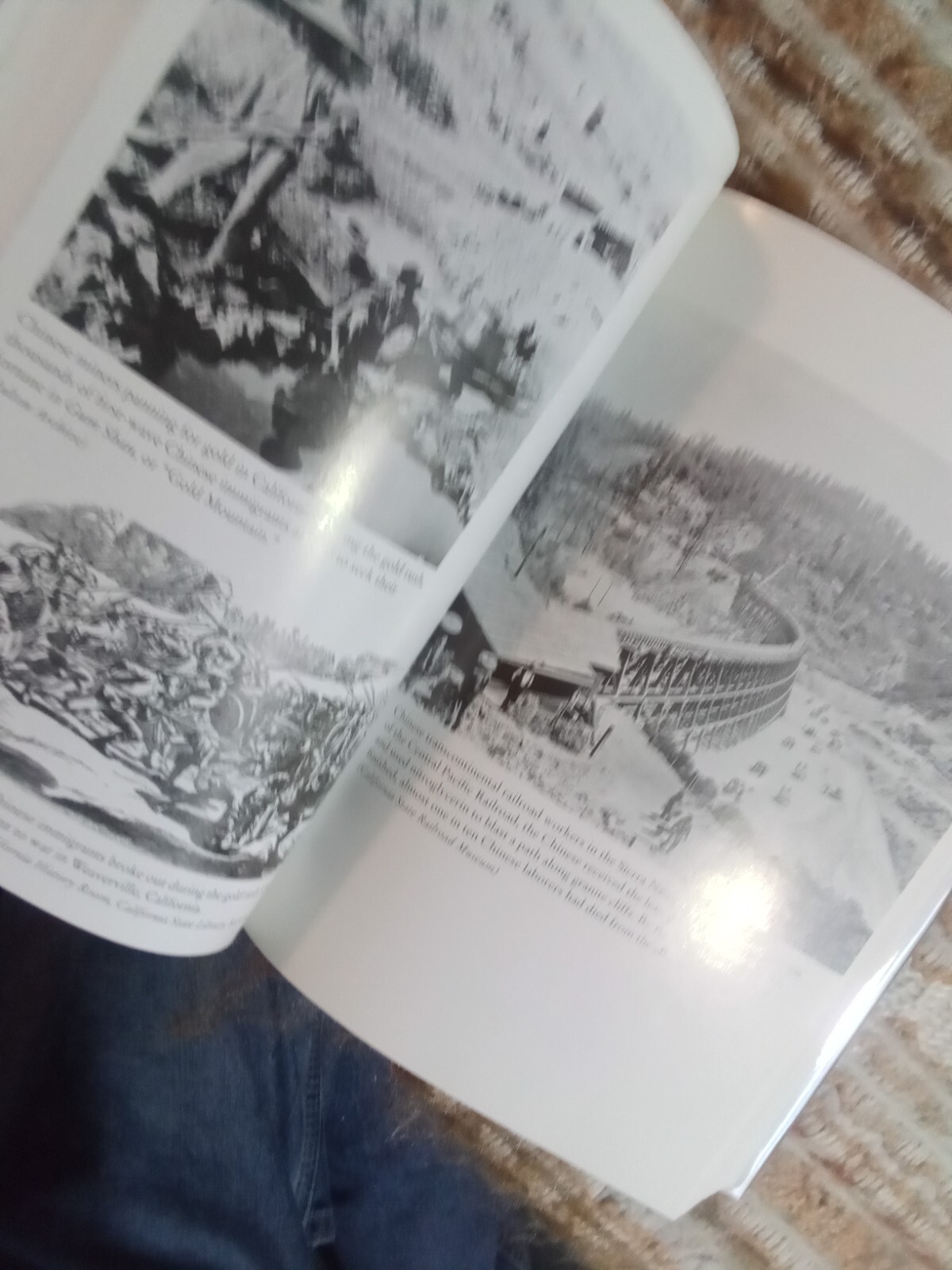 The Chinese in America: A Narrative History by Iris Chang (2003,HCDJ) identity