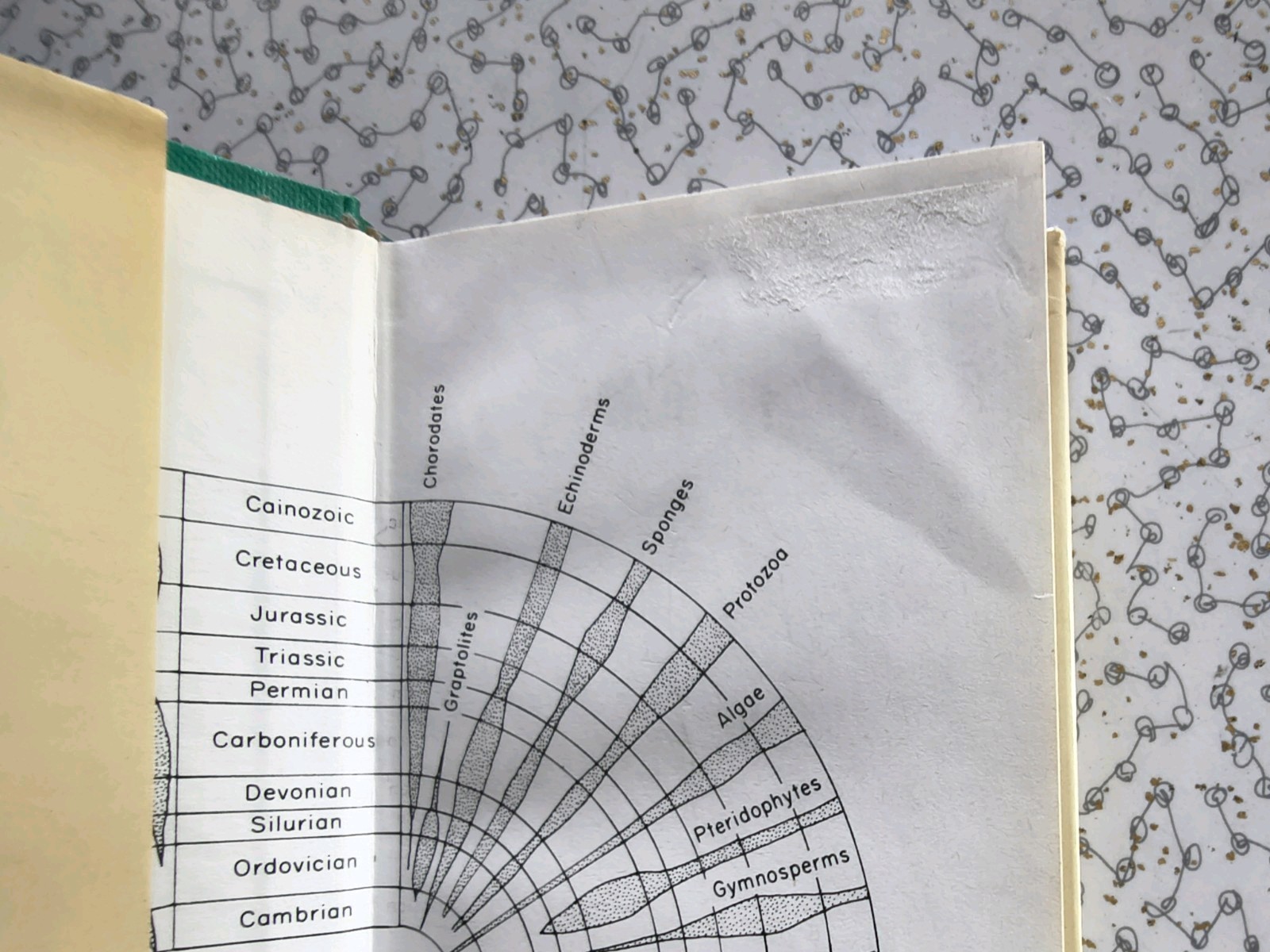The Observer’s Book of Fossils by Rhona M. Black 1977 First Edition Hardback