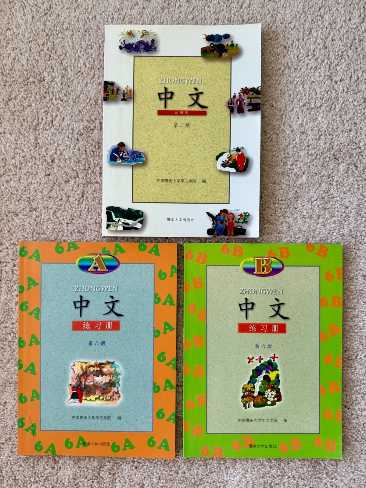 暨南大学中文教材第6册(含课本及A, B练习本) Jinan University’s Zhongwen (Chinese) Vol. 6