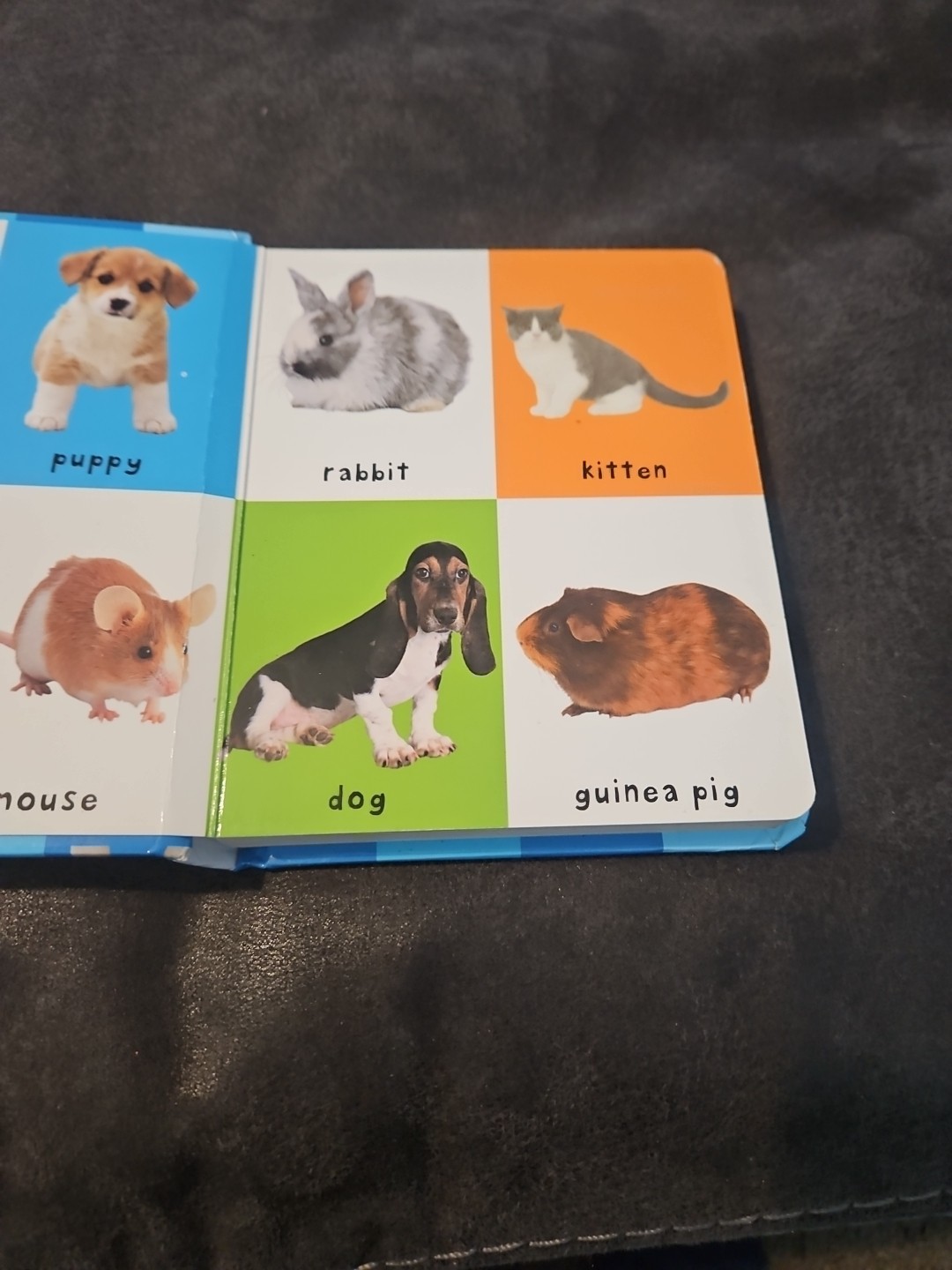 2011, “First 100 Animals” by Roger Priddy Children’s Board Book