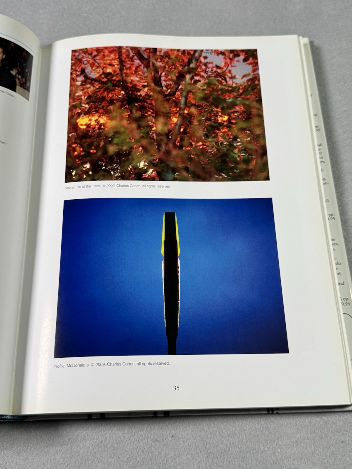 100 New York Photographers by Cynthia Maris Dantzic (2009, Hardcover)