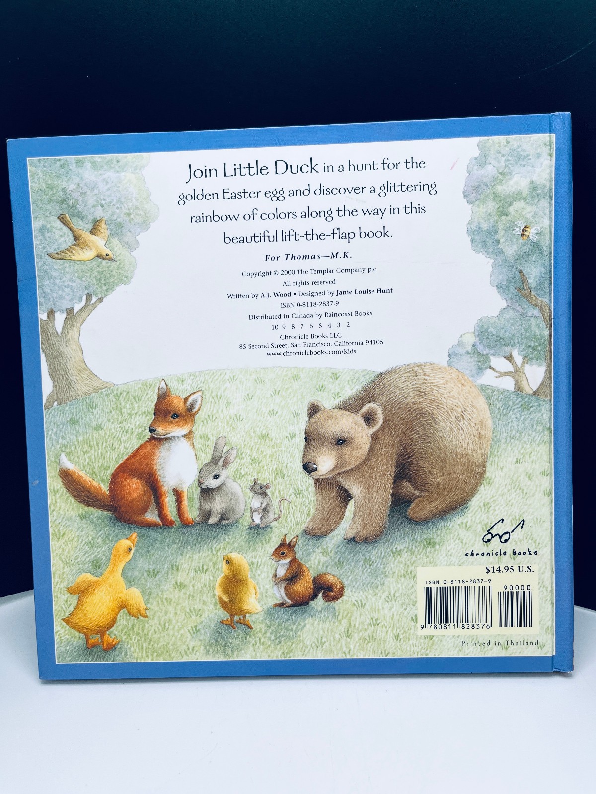 Lot of 10 Children’s Baby Toddler Board Picture Books Kids Daycare Family VIDEO