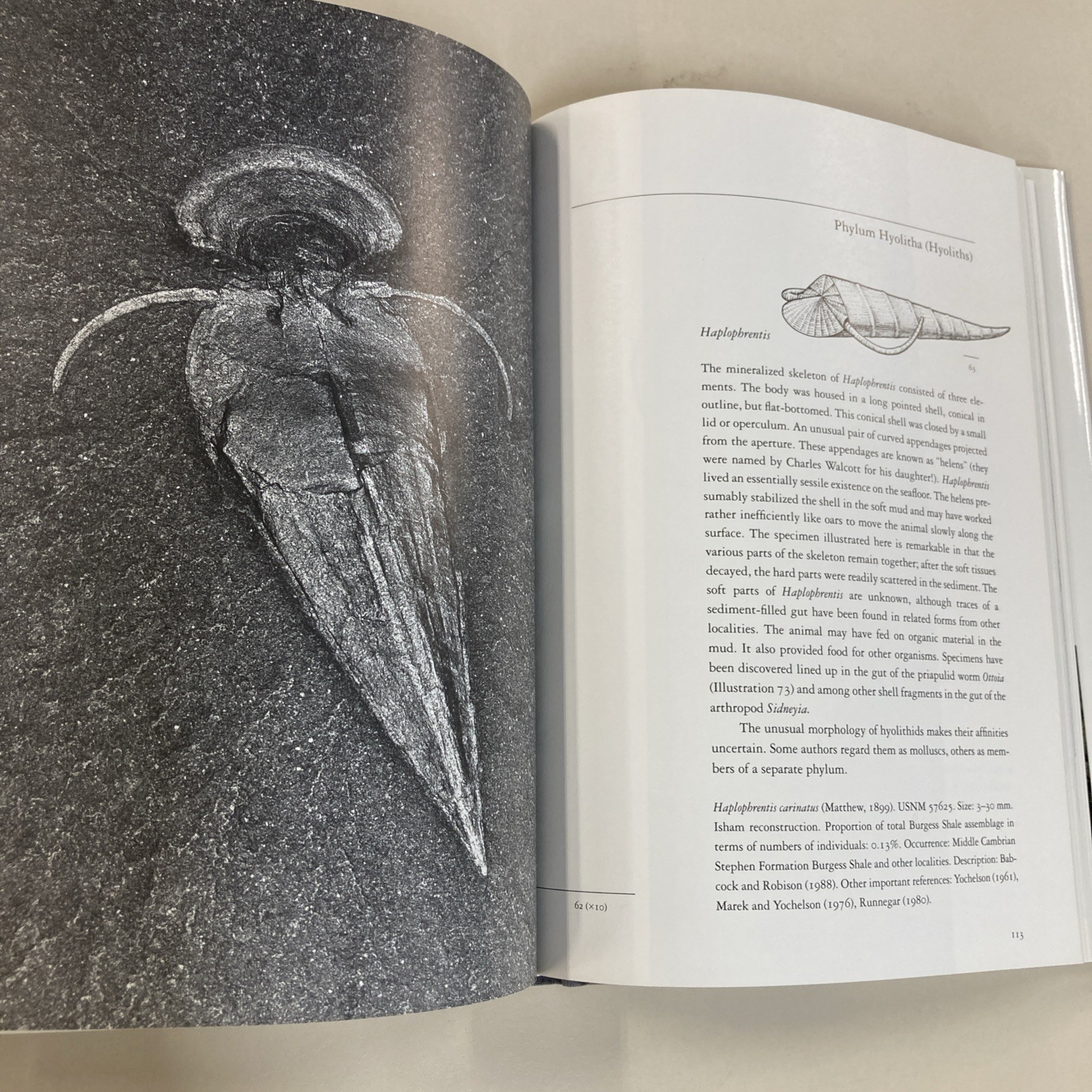 Fossils of the Burgess Shale HC DJ Collier, Erwin & Briggs 1994 Smithsonian Good