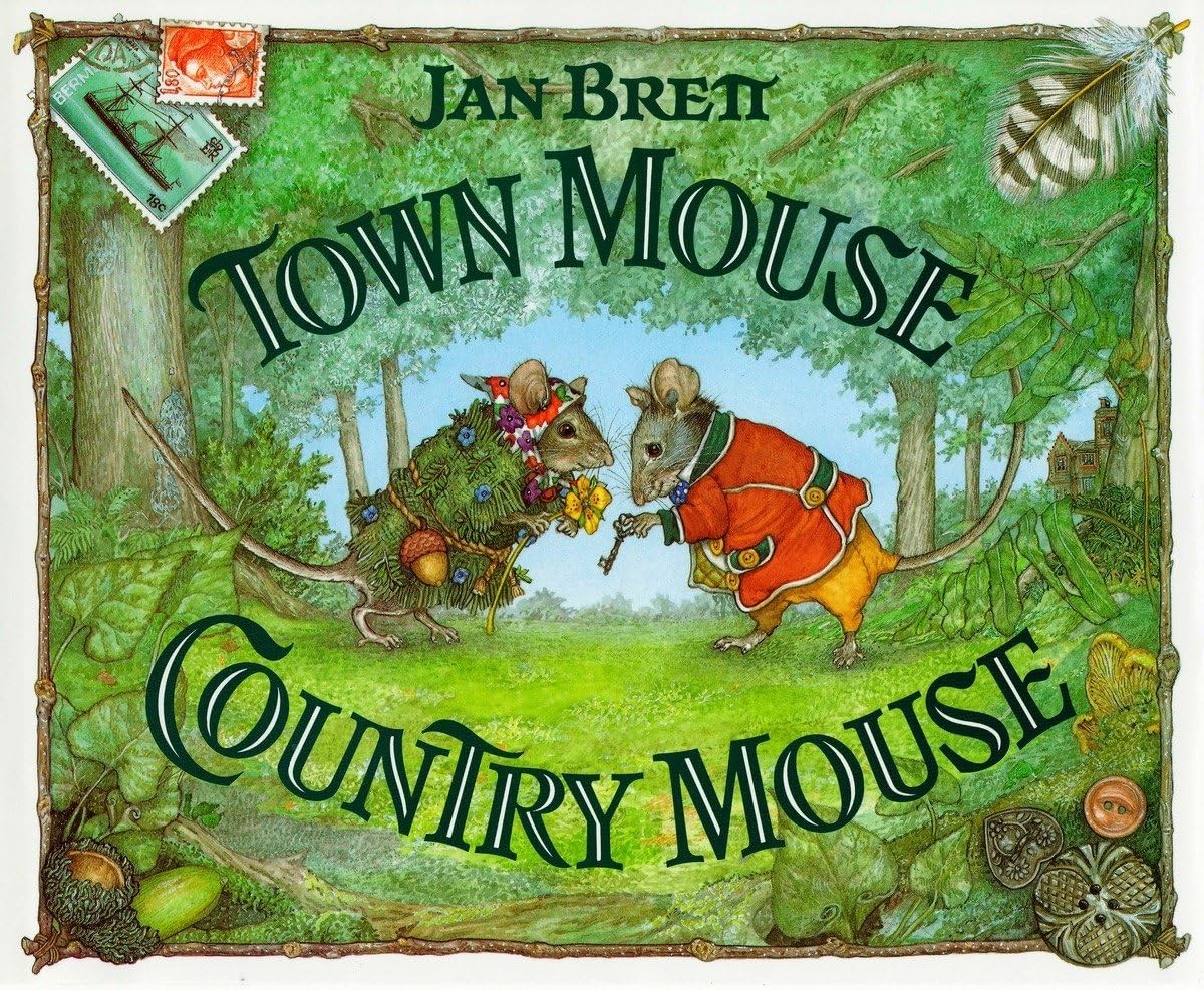 Town Mouse, Country Mouse – hardcover Brett, Jan