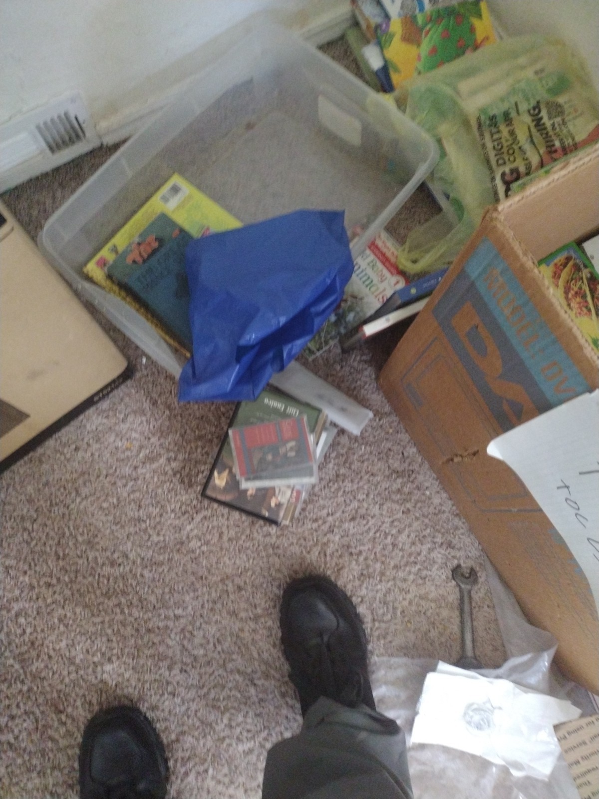 Bulk/Huge Lot of 50 Children’s Kids Chapter Books – Random – Free Shipping!