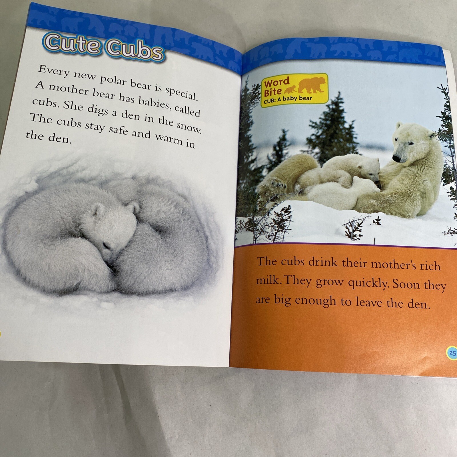 Lot of 3 Beginner Childrens Reading Books Level 1 Paperback Schoolastic Minions