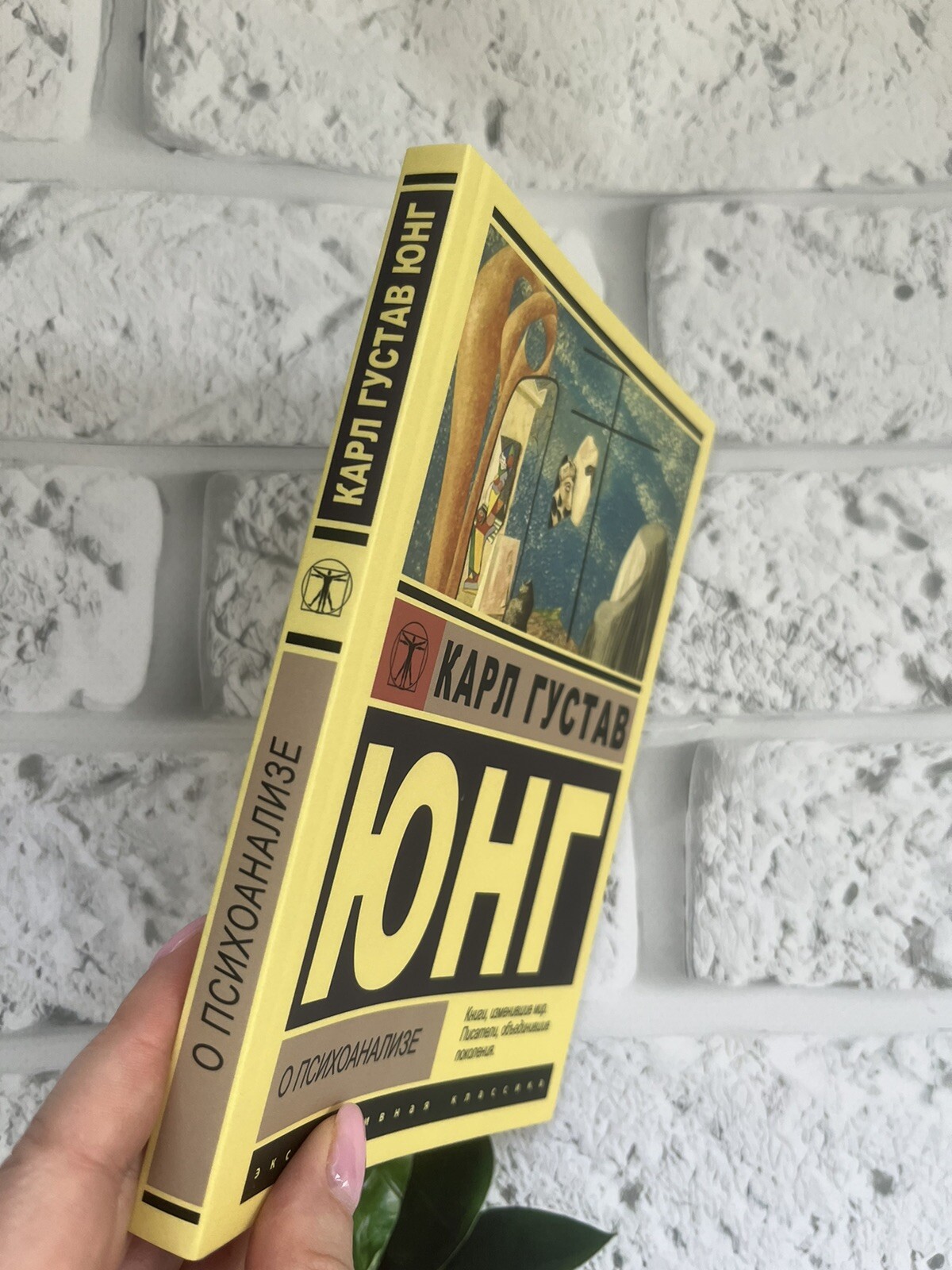 Карл Густав Юнг | Набор Книг 5 шт. Russian book📚