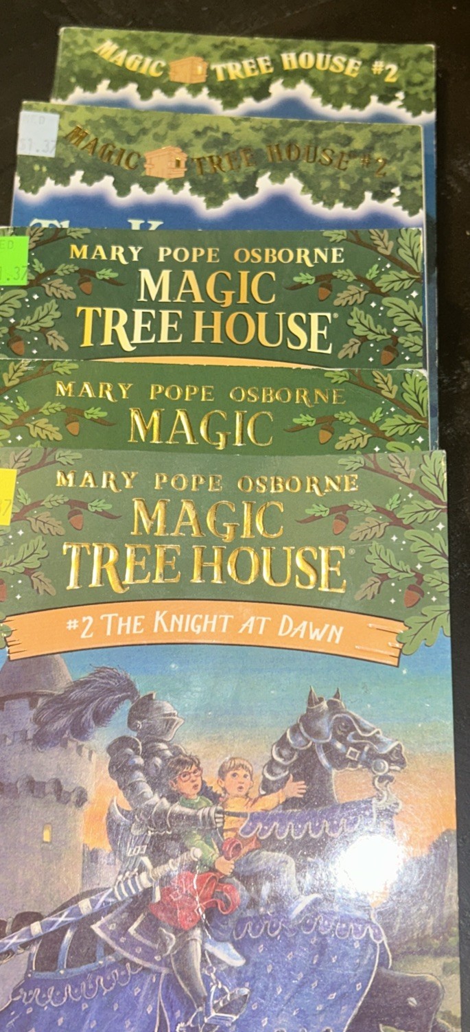Guided Reading 5 Book Set Of The Knight At Dawn