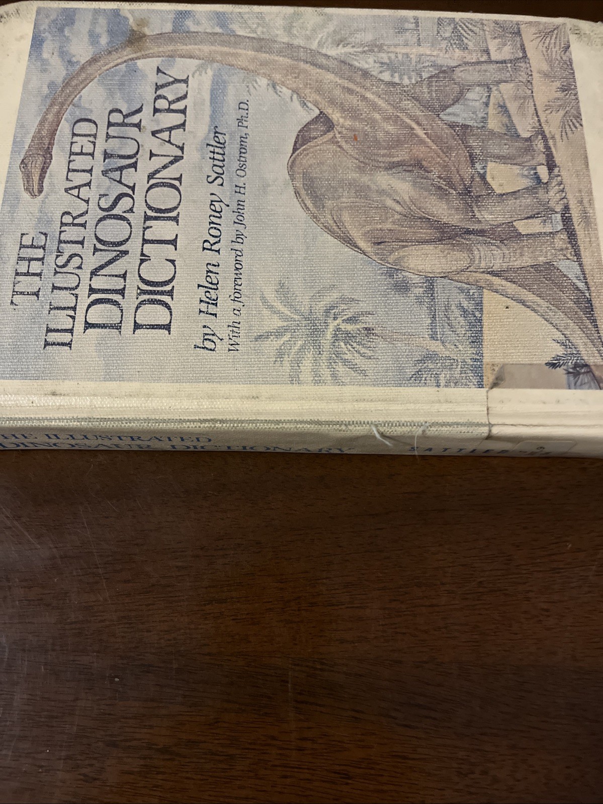 The Illustrated Dinosaur Dictionary by Helen Roney Sattler, Resource Learning