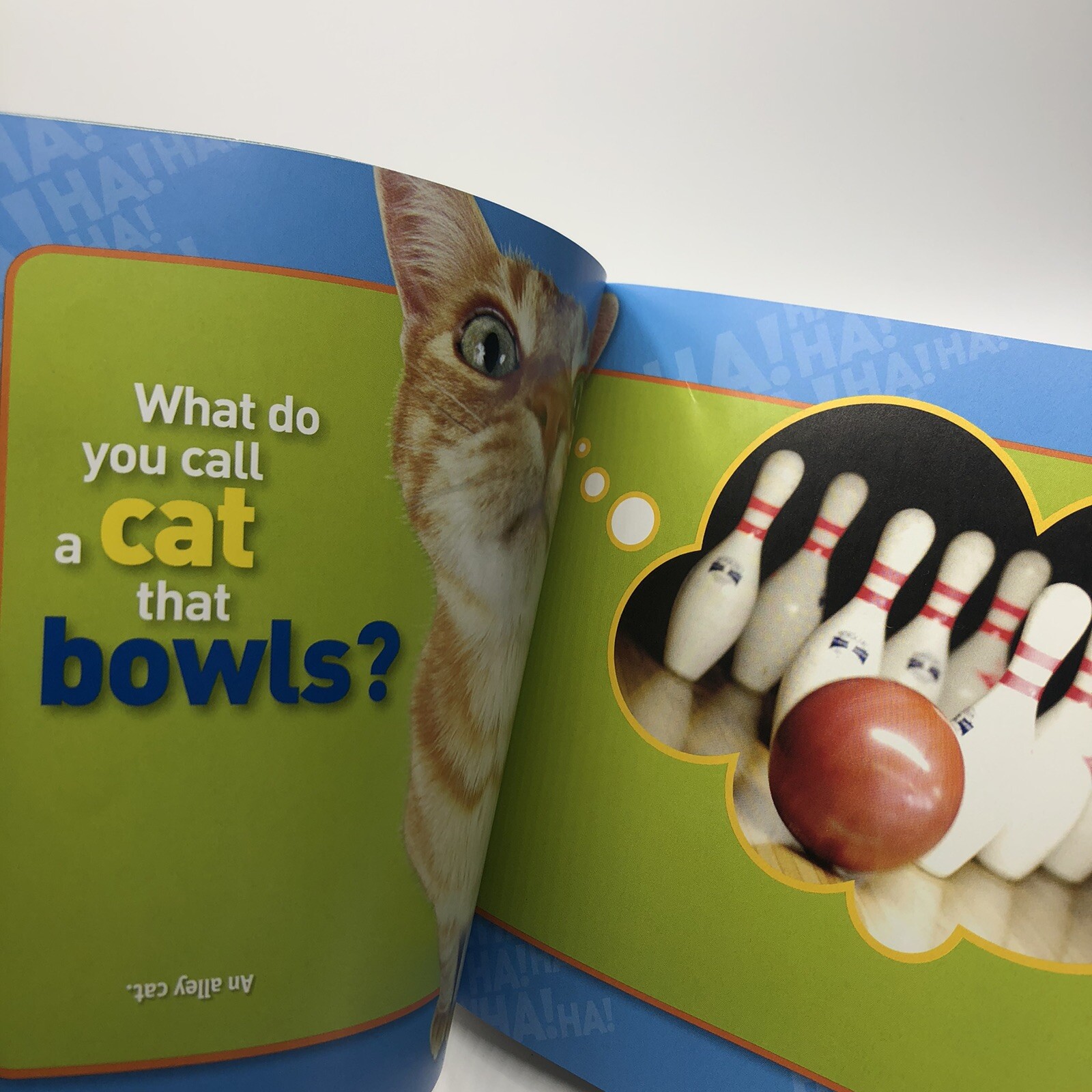 Just Joking : 300 Hilarious Jokes, Tricky Tongue Twisters, and Ridiculous Riddle