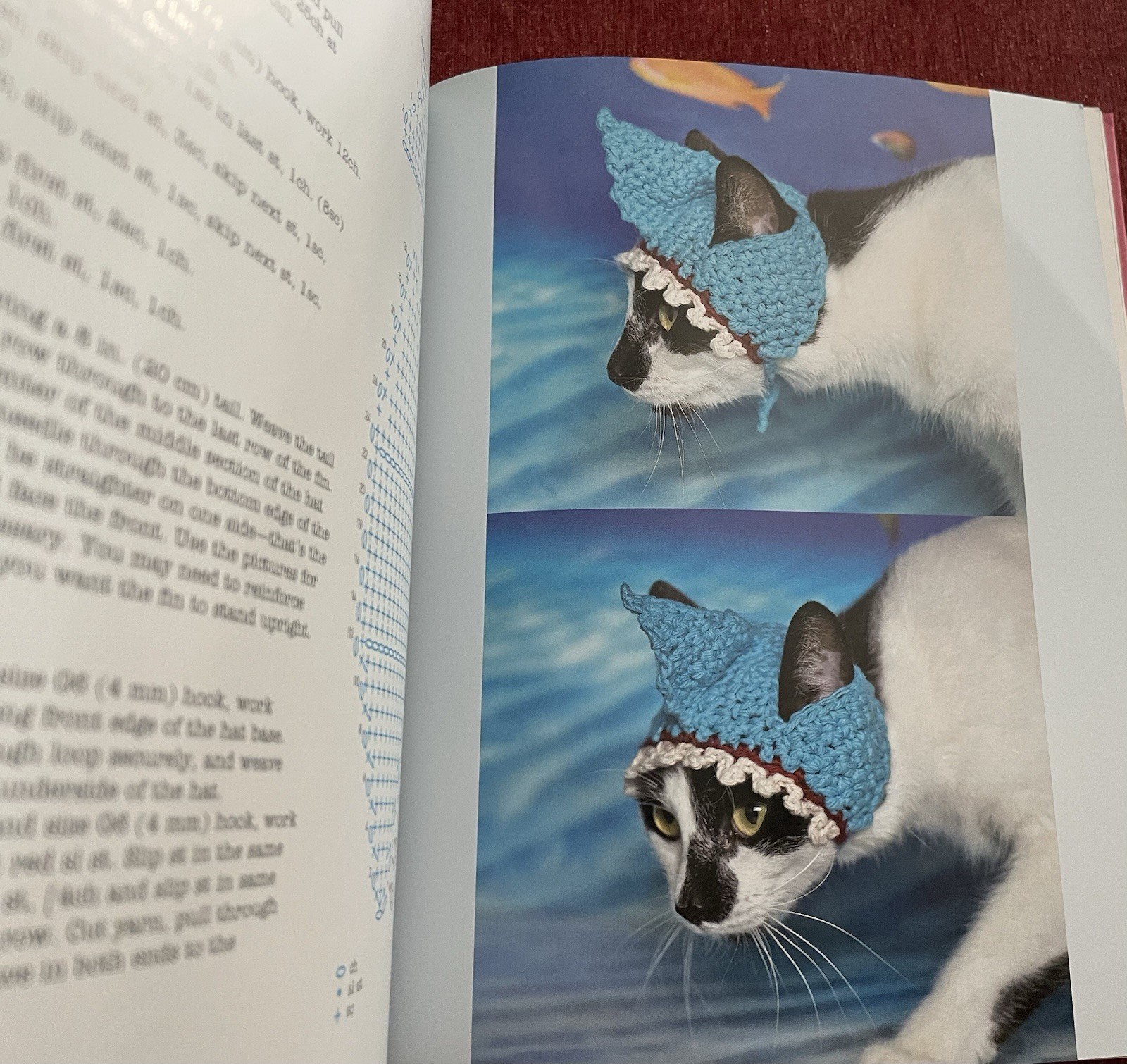 Cats in Hats: 30 Knit & Crochet Patterns for Your Kitty- Sara Thomas EUC PB 2015