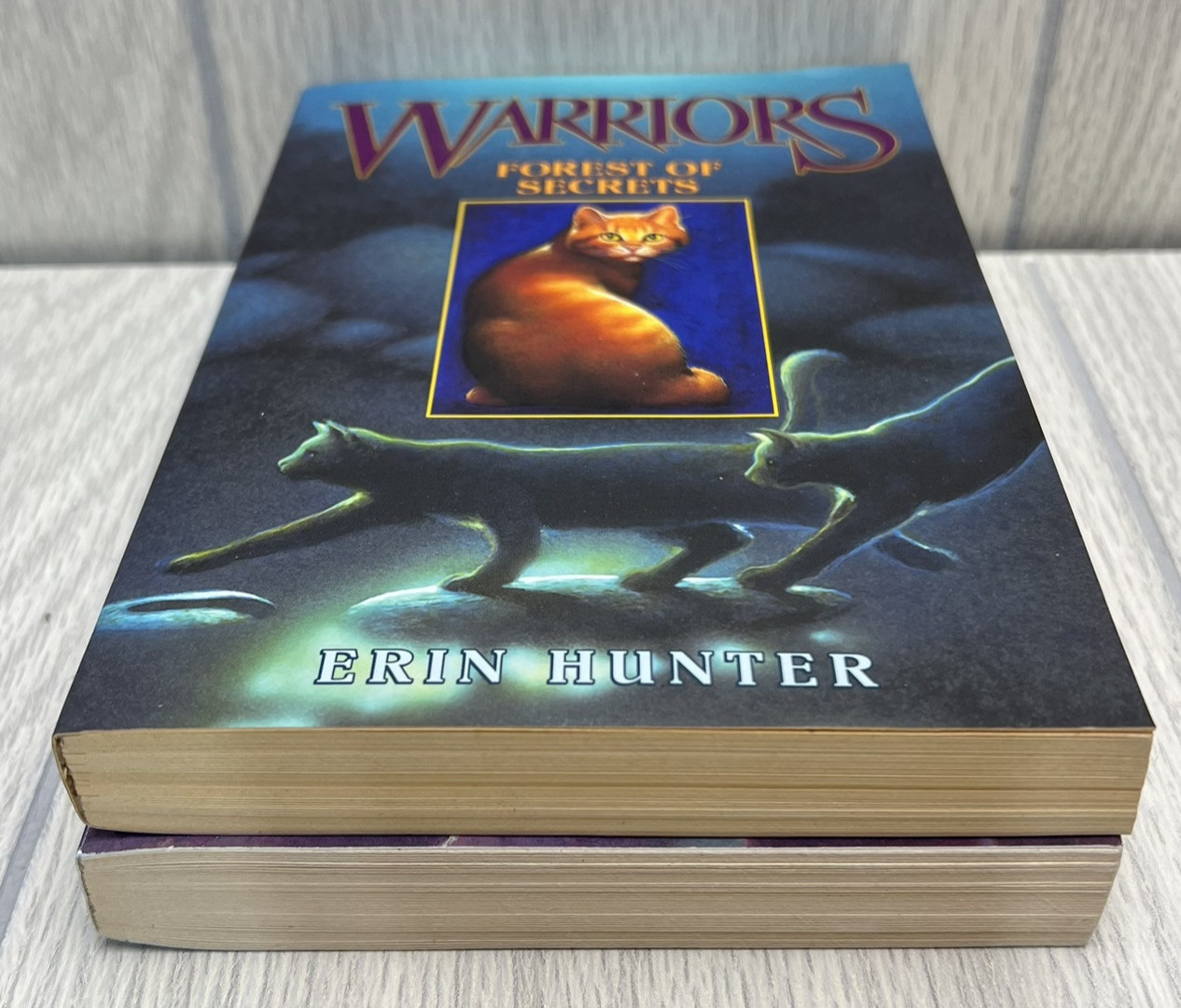 Warriors Book Bundle by Erin Hunter – Fire and Ice & Forest of Secrets Paperback