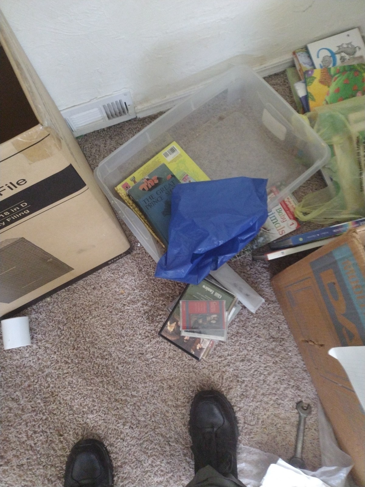 Bulk/Huge Lot of 50 Children’s Kids Chapter Books – Random – Free Shipping!