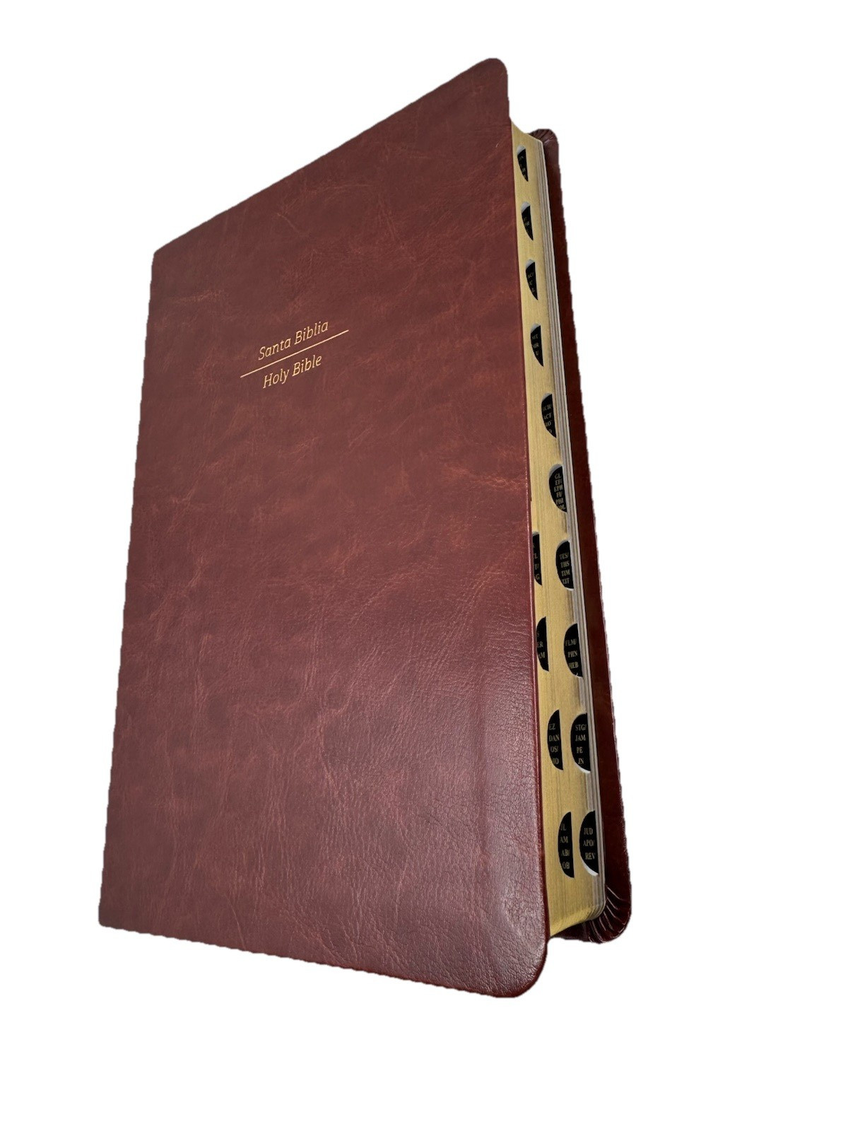 Biblia Bilingüe Reina Valera 1960 (ESV) Bilingual Bible/Print Brown index