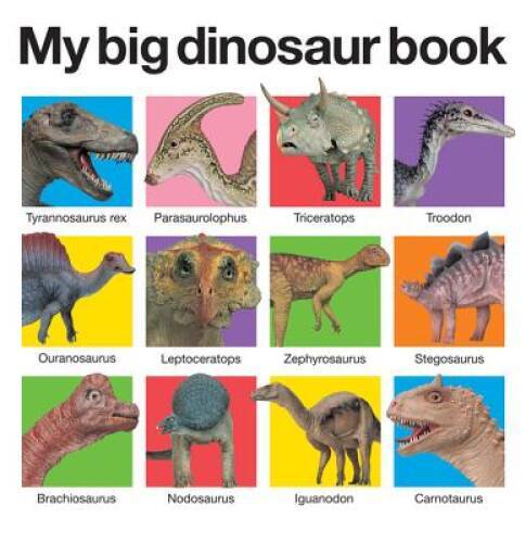 My Big Dinosaur Book – Board book By Priddy, Roger – ACCEPTABLE