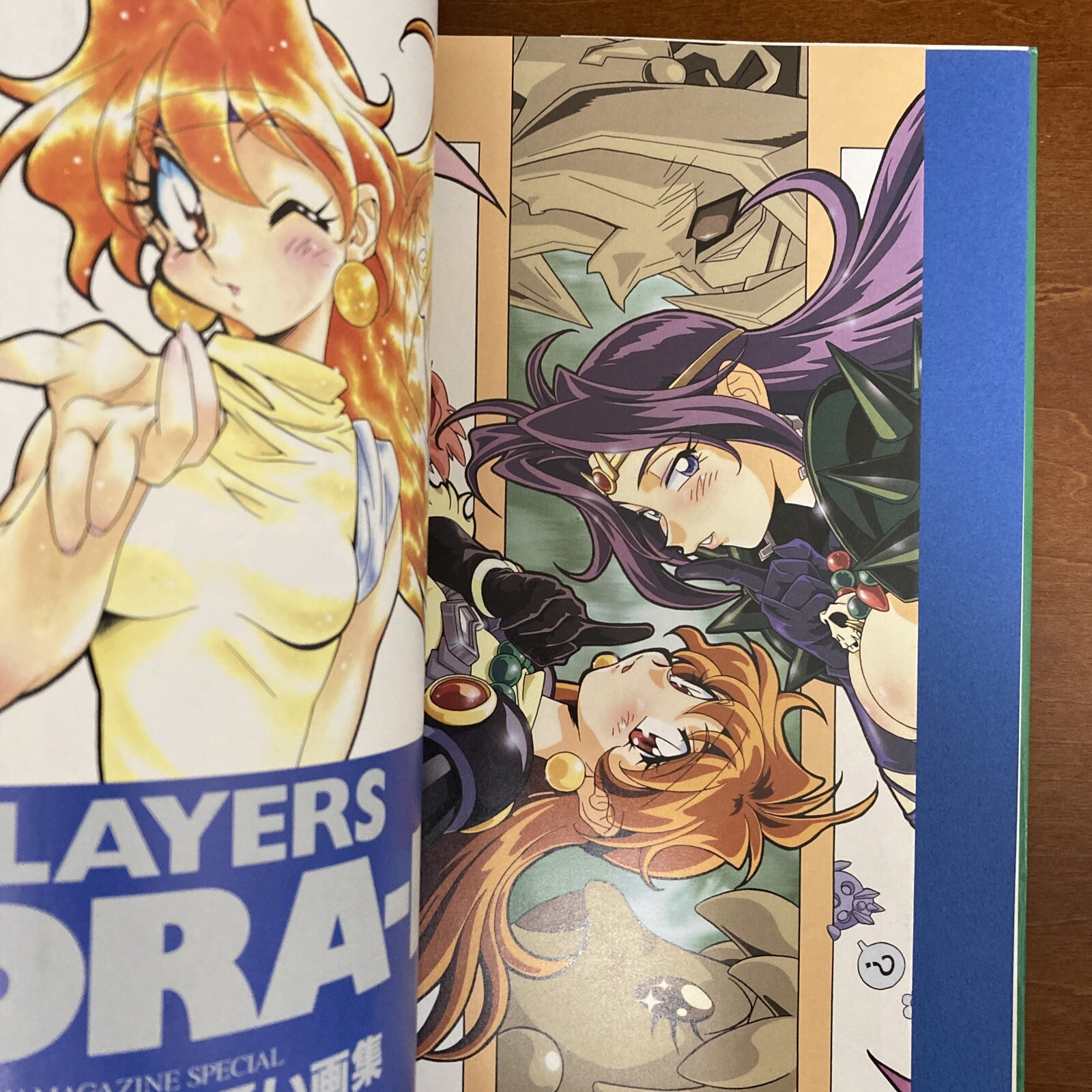 Slayers DRA-MATA Rui Araizumi Art Book Illustration