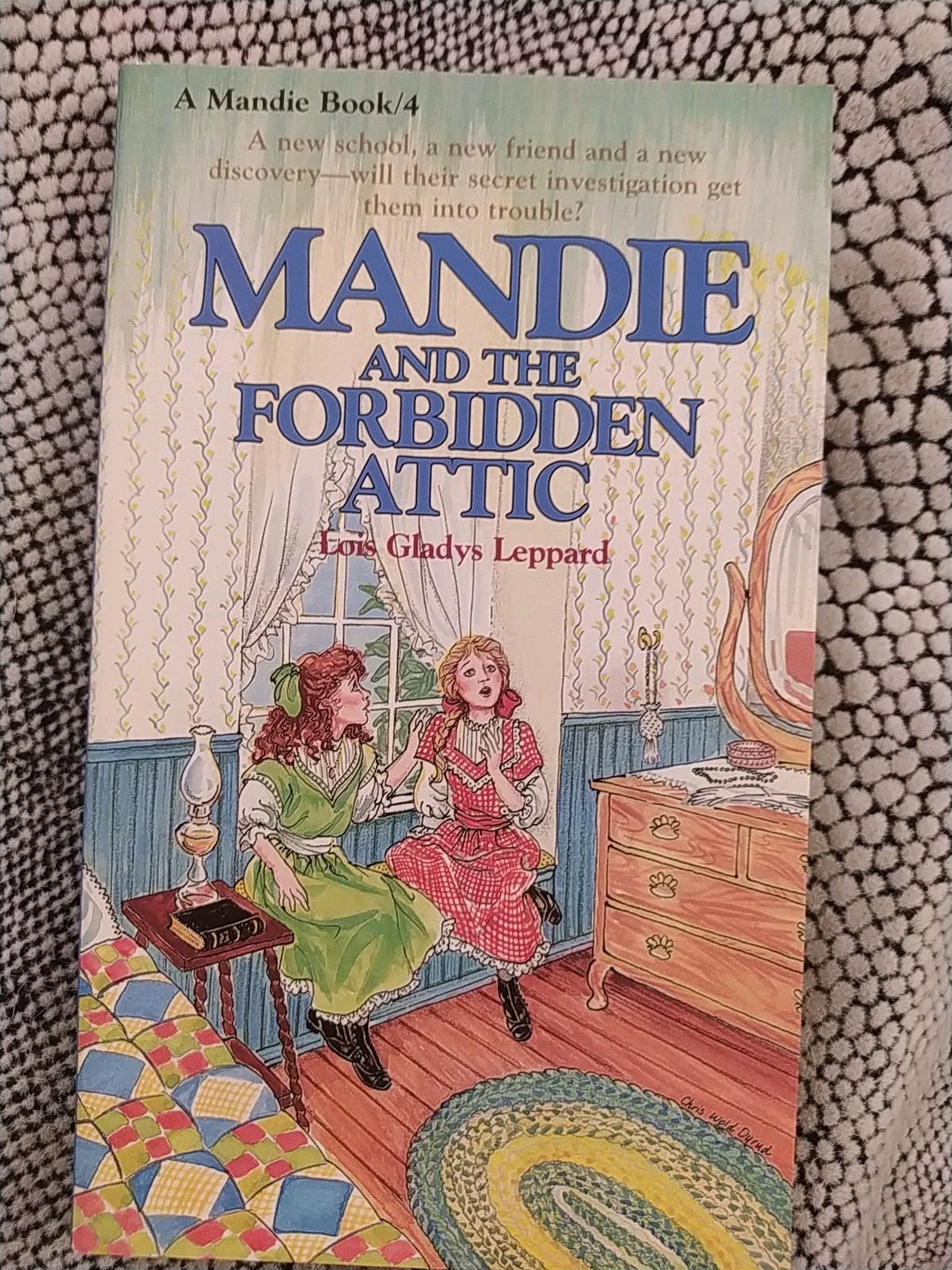 Mandie Series Box Set Vol 1-5 Lois Gladys Leppard Vintage Mystery Christian Book