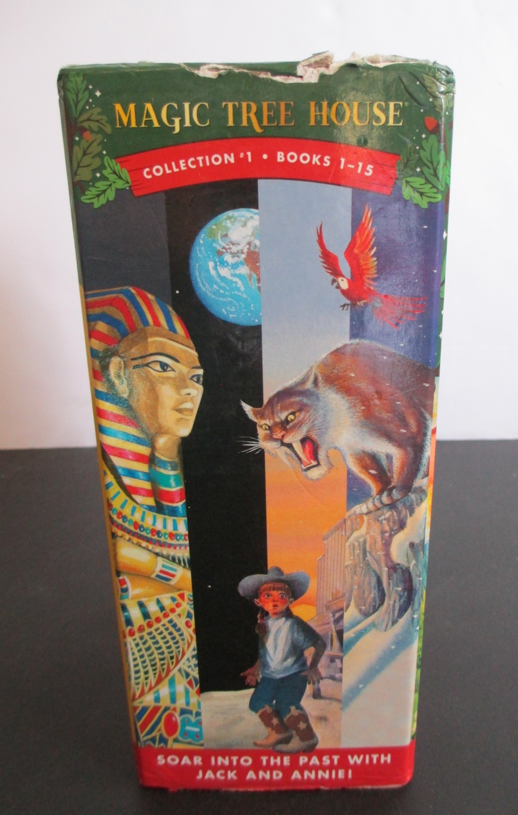 Magic Tree House Collection 1 Boxed Book Set 1-15 by Mary Pope Osborne Paperbac