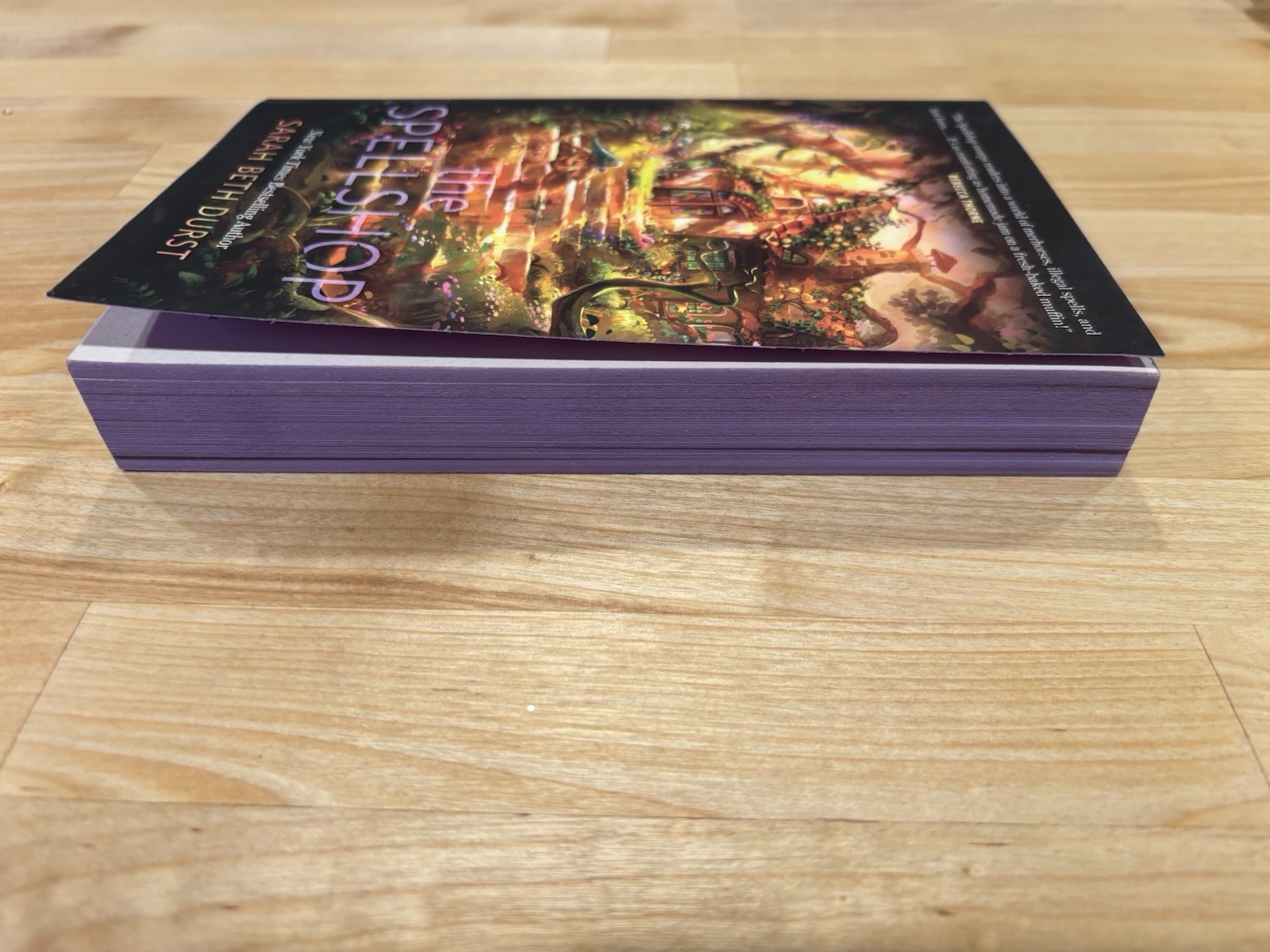 The Spellshop Sarah Beth Durst Paperback Fantasy Romance Novel Book