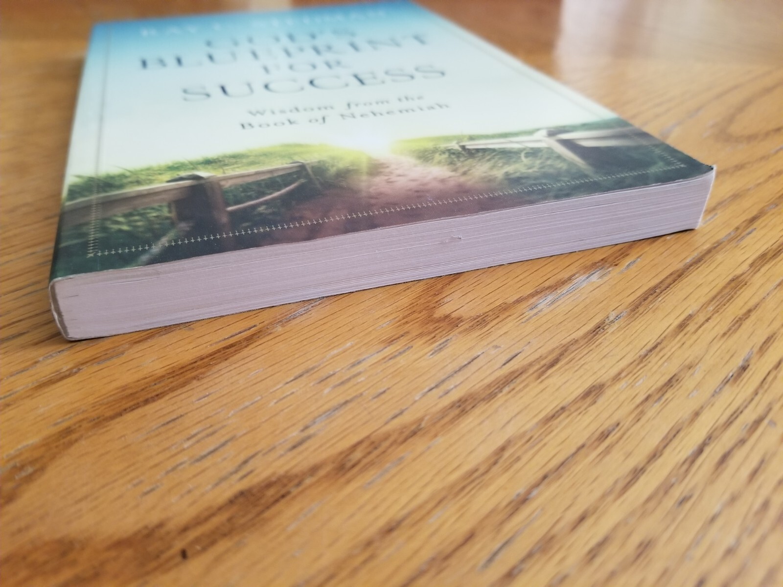 God’s Blueprint for Success : Wisdom from the Book of Nehemiah by Ray C. Stedman