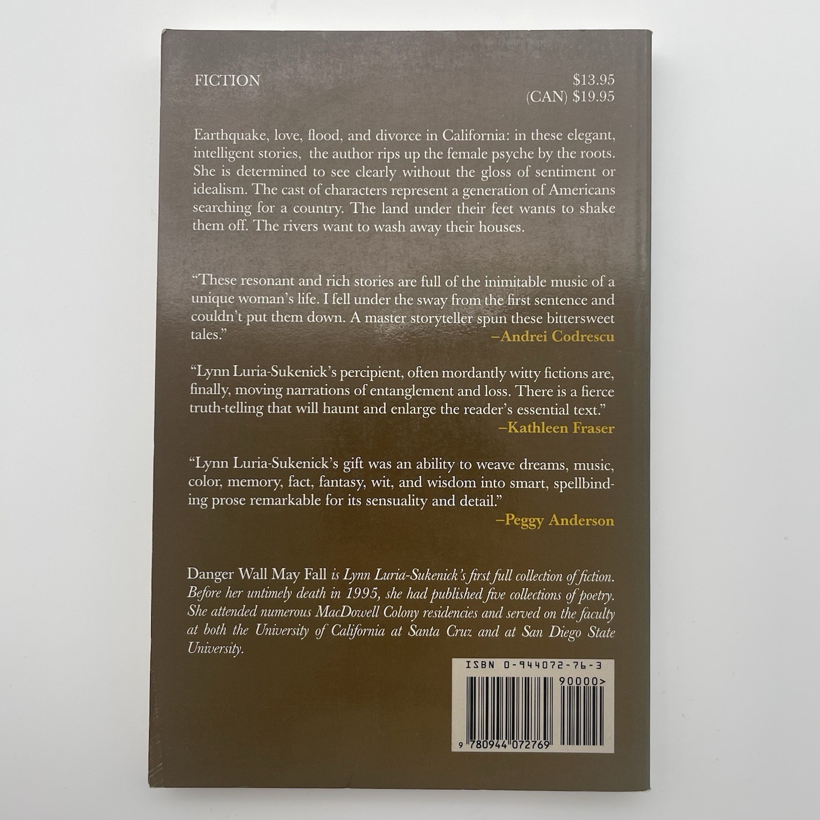 Danger Wall May Fall — Lynn Luria-Sukenick | Literary Short Stories