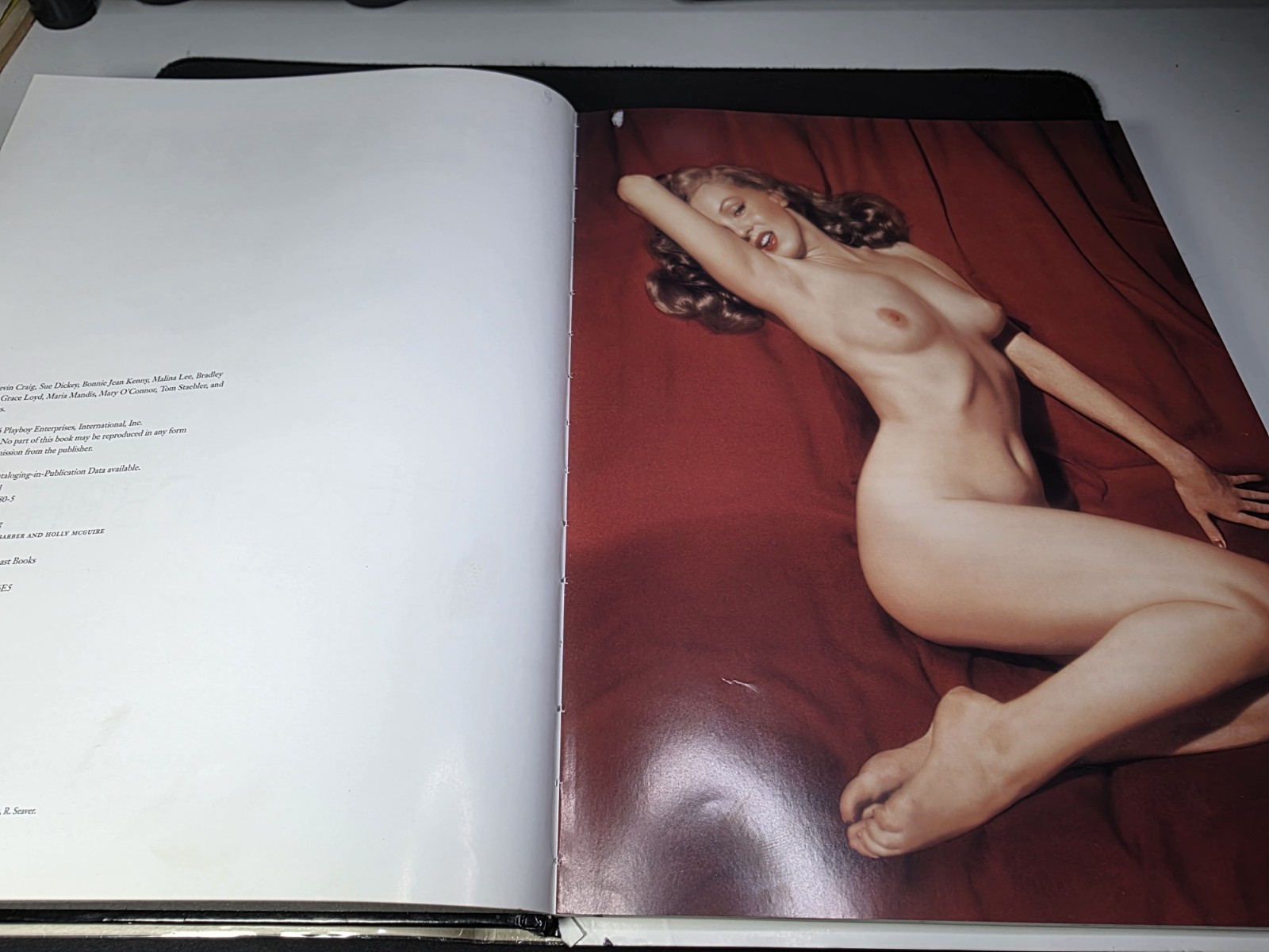 Playboy: the Celebrities by Hugh Hefner (2006, Hardcover) MISSING PAGES ⚠️