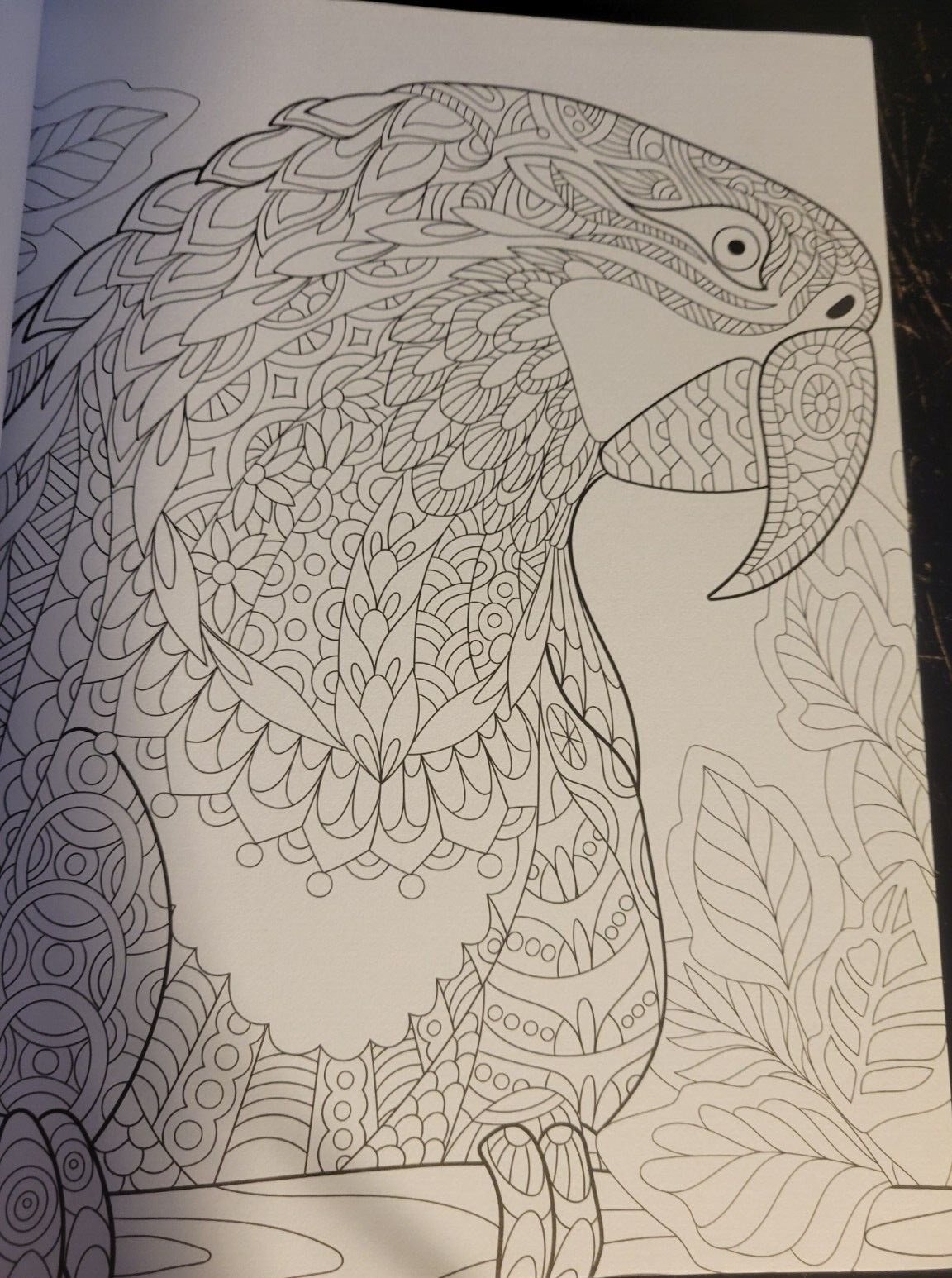 MAGNIFICENT CREATURES Vol 18 – Adult Coloring Book by TOPIX MEDIA – 47 PRINTS