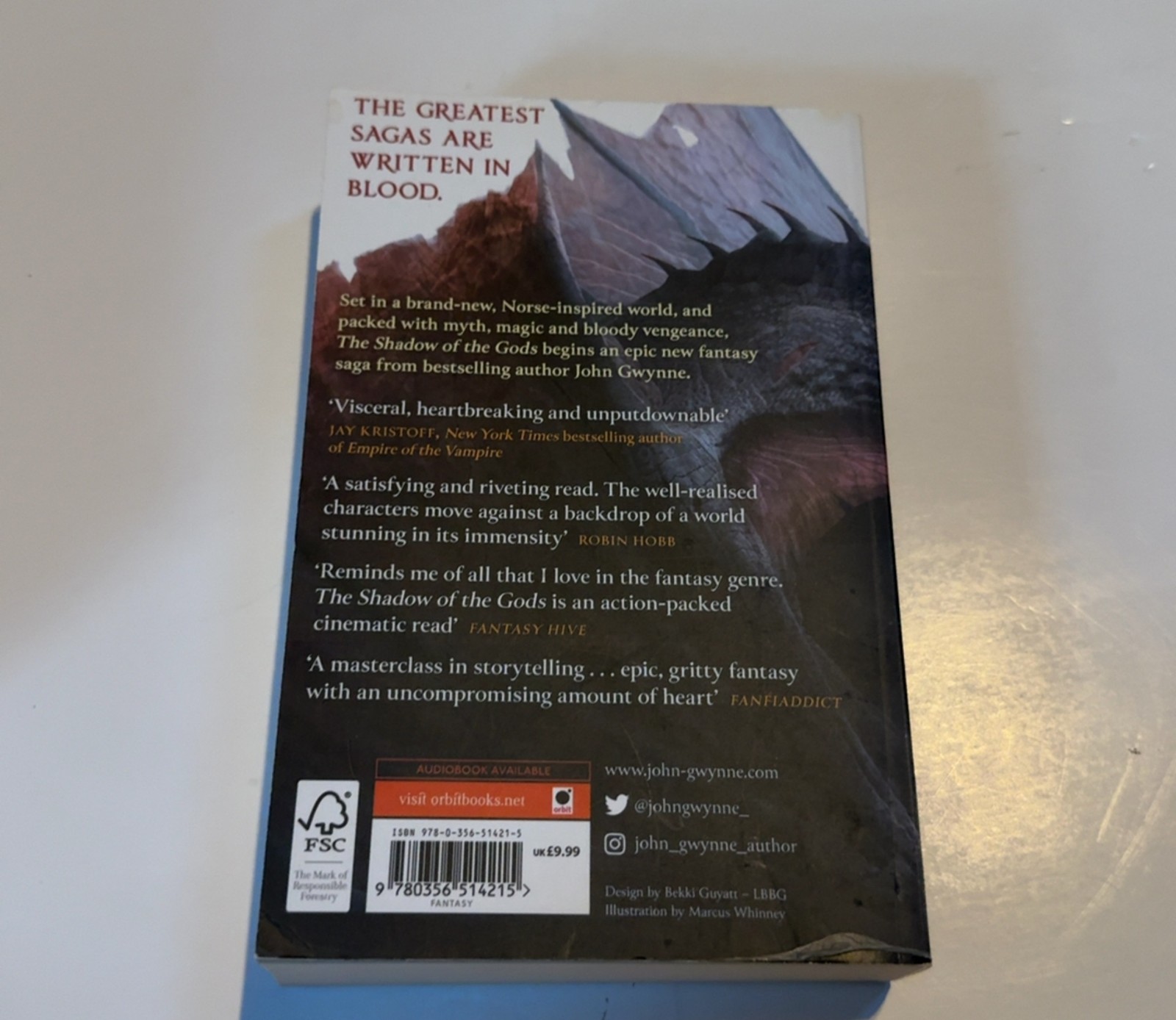 The Shadow of the Gods (The Bloodsworn Saga)