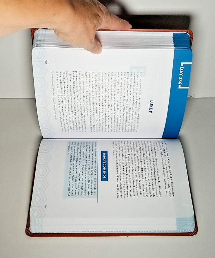 The Bible Recap Deluxe Edition: A One-Year Guide – Tara Leigh Cobble – Bethany