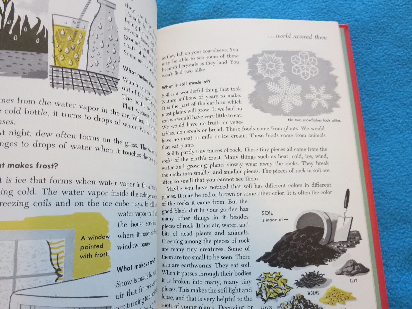 Words to Know Questions Children Ask VTG Home School Preschool