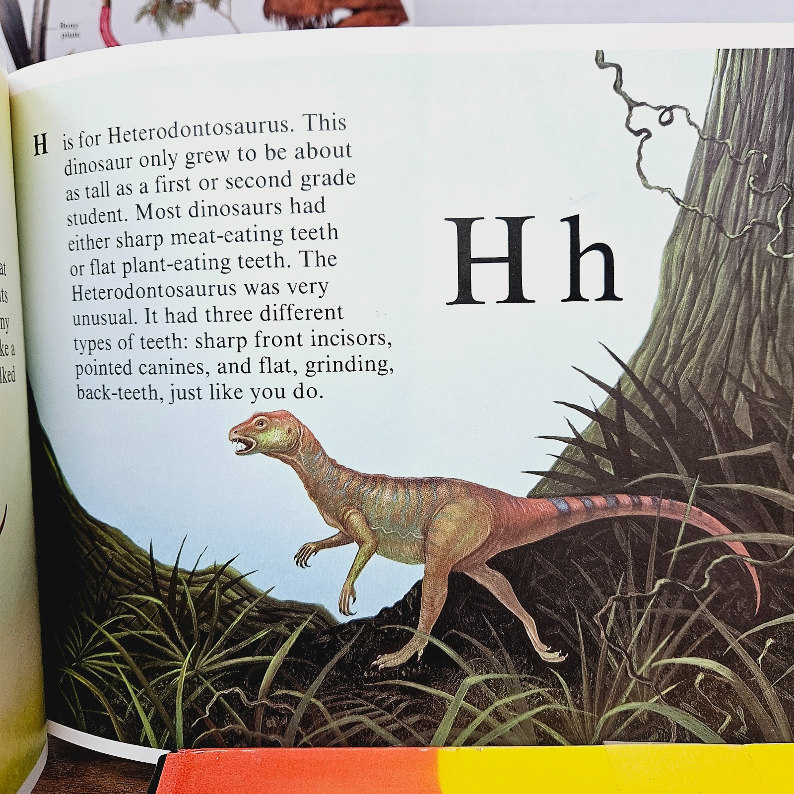 Kids Books About Dinosaurs Lot of 10 Homeschool Classroom Library Eyewitness