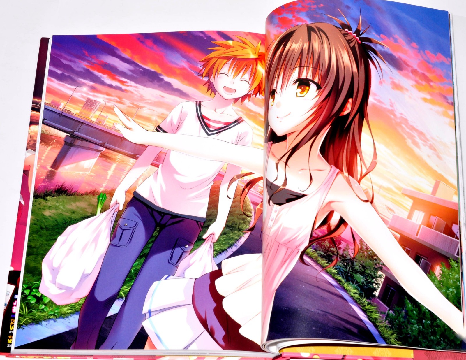 To Love-Ru Darkness Harem Gold Art Book Illustrations + Case 10th anniversary JP