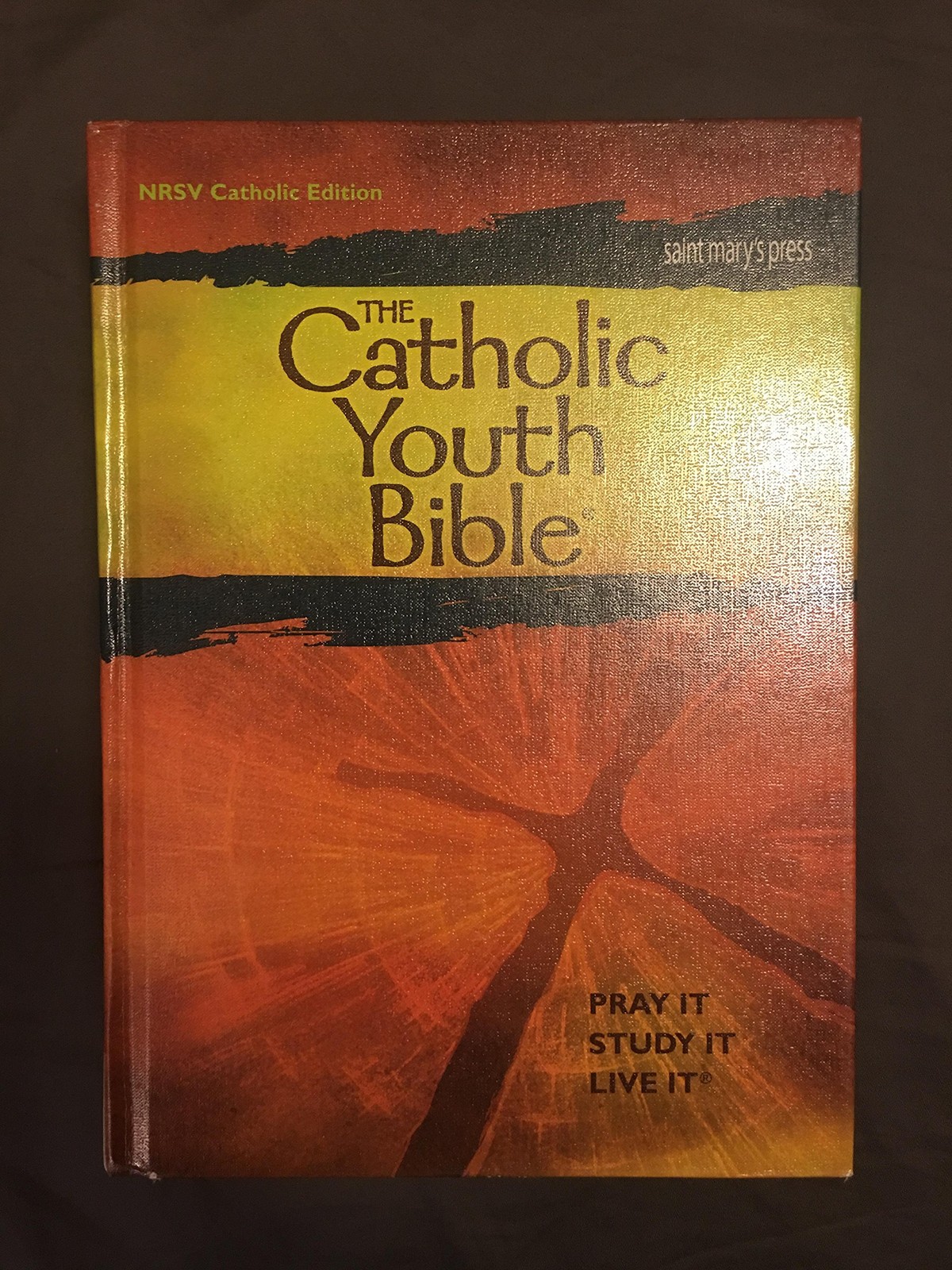 The Catholic Youth Bible (Catholic Edition) – Saint Mary’s Press – Good – Se…