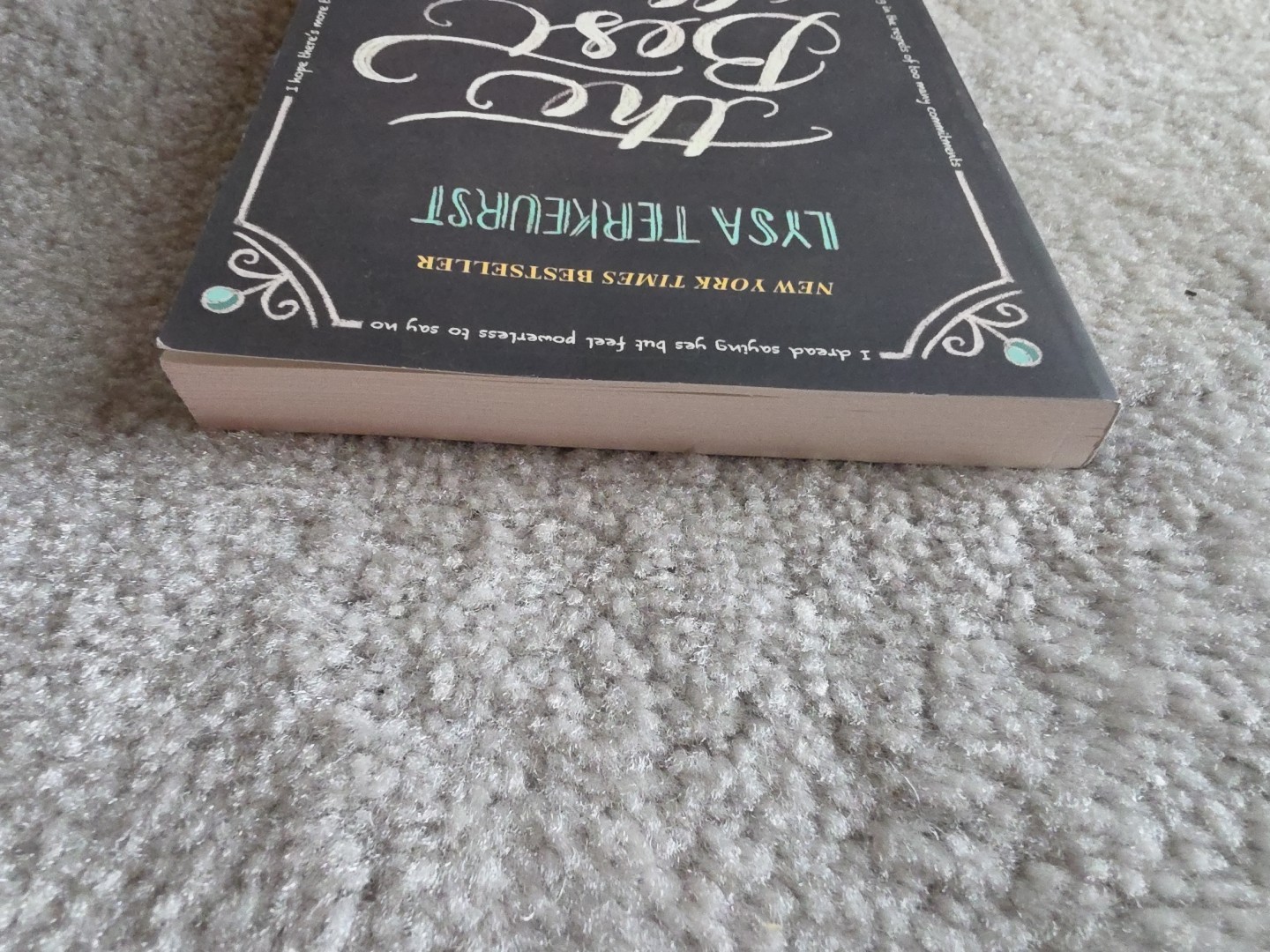 The Best Yes by Lysa TerKeurst paperback book FREE SHIPPING Wise Decisions lisa